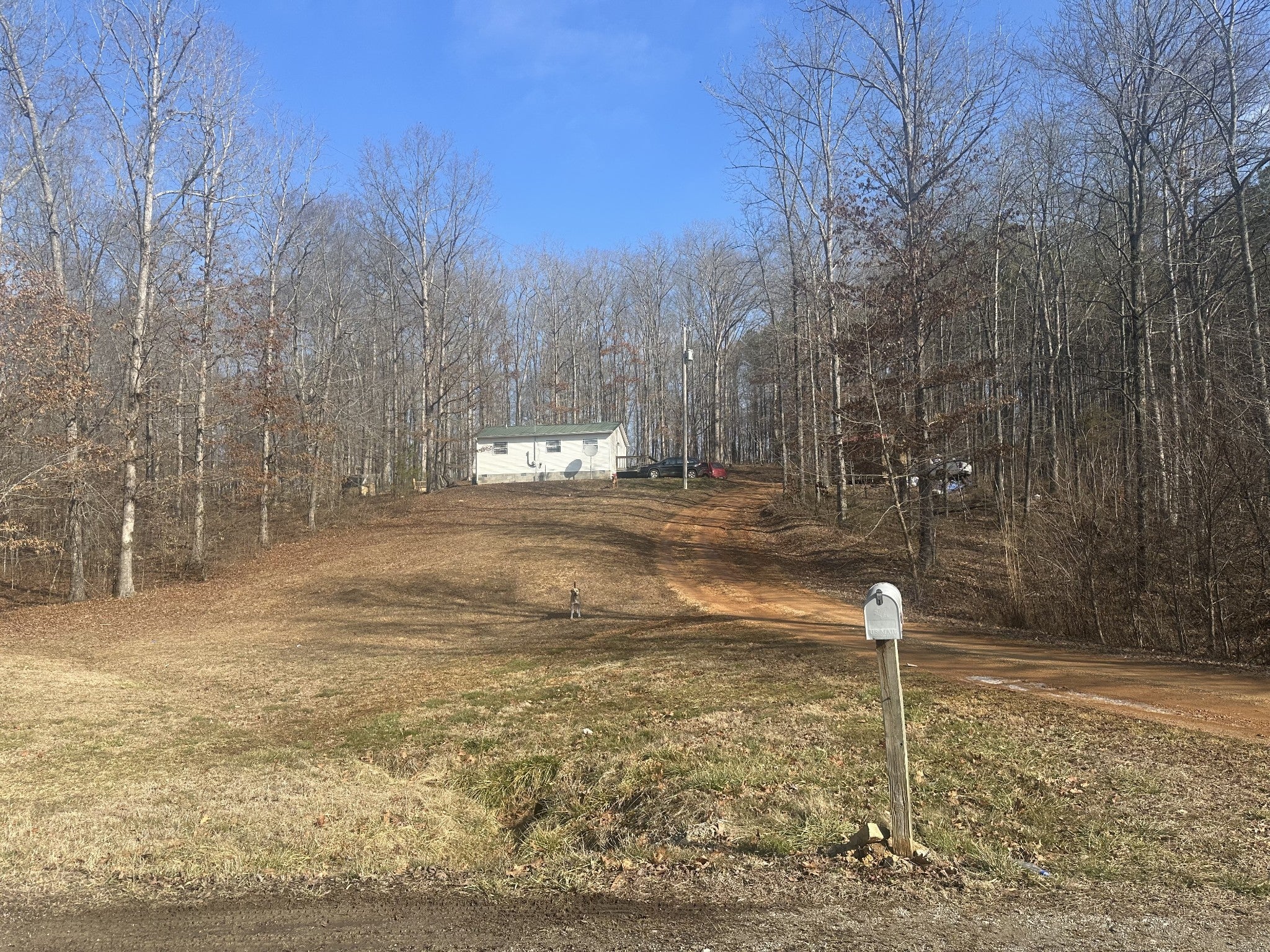 Photo of Listing #3131079