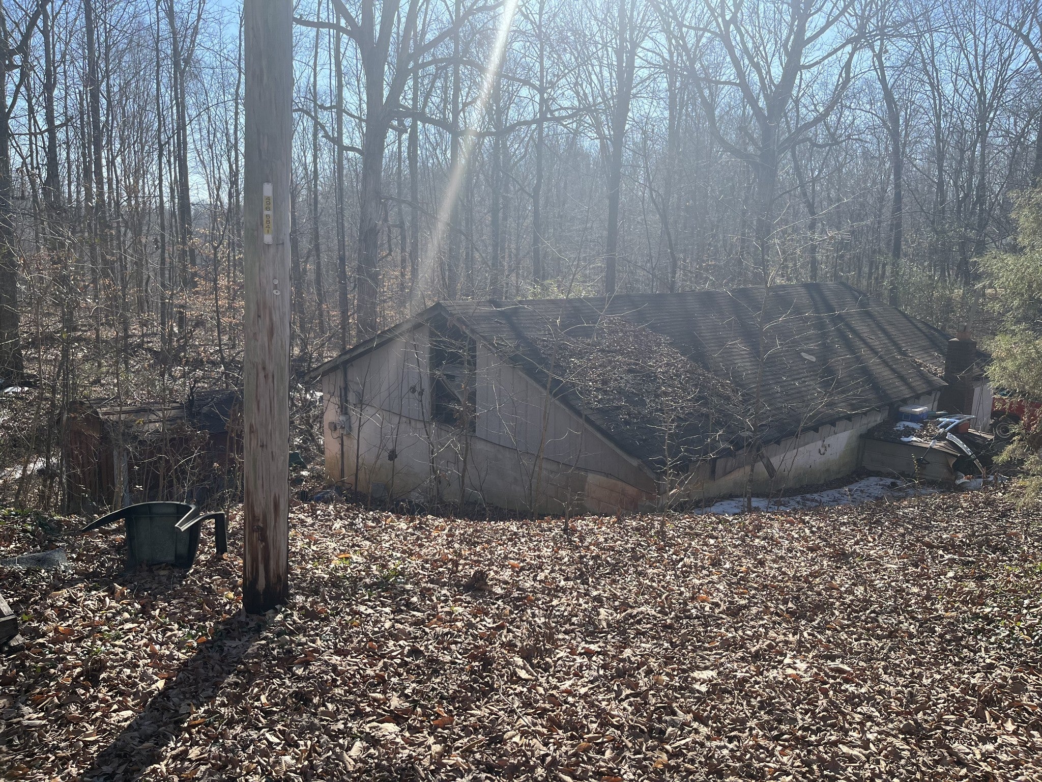 Photo of Listing #3131308