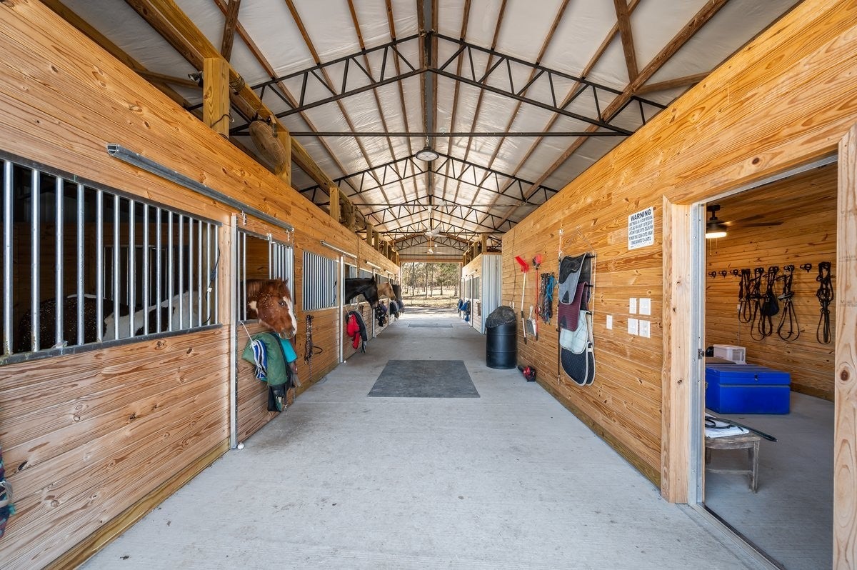 Photo of Listing #3131514