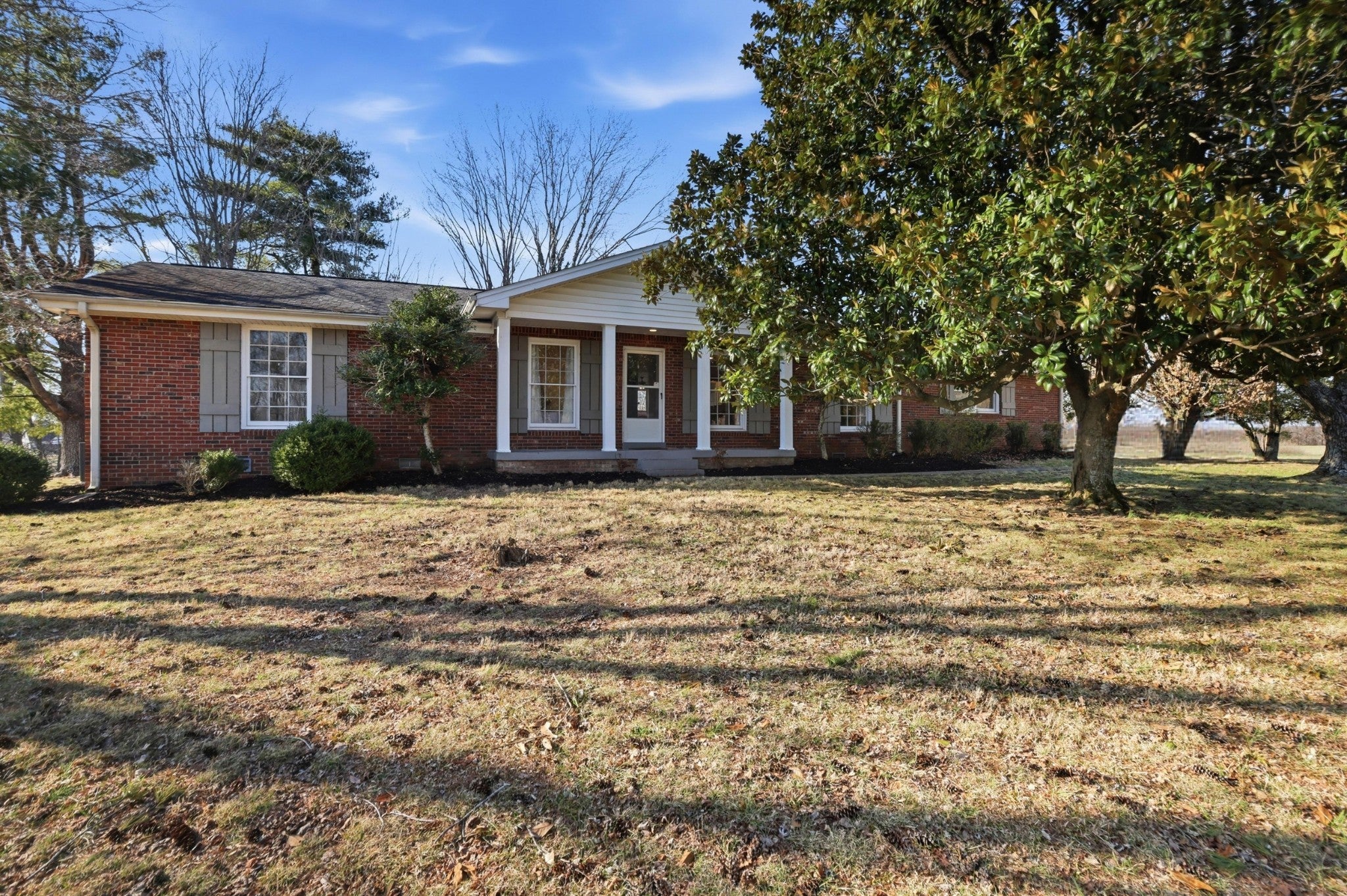 Photo of Listing #3131555