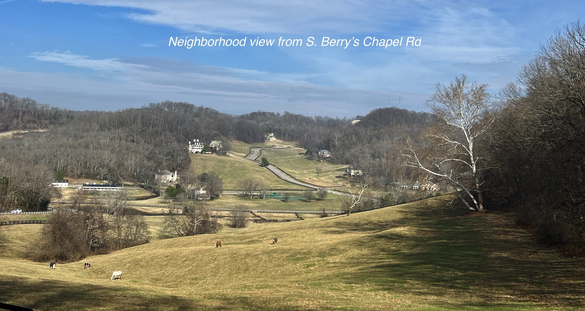 Photo of Listing #3132951