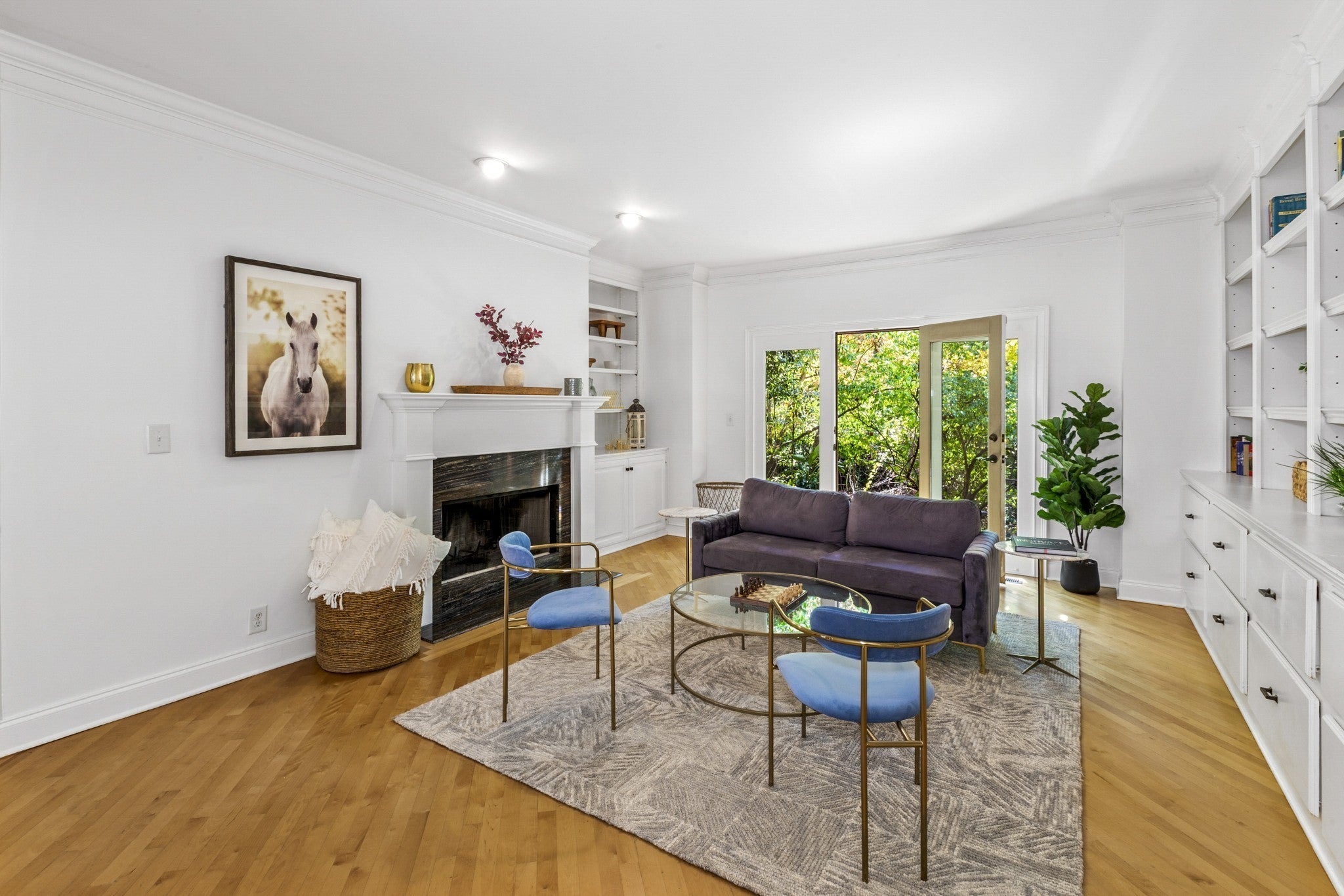 Photo of Listing #3133676