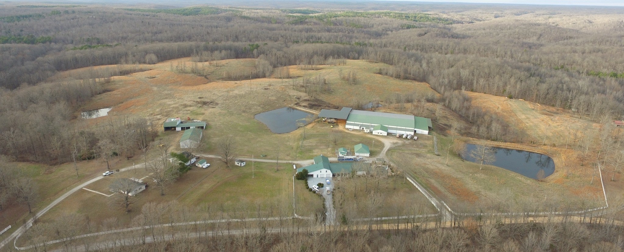 Photo of Listing #3134279