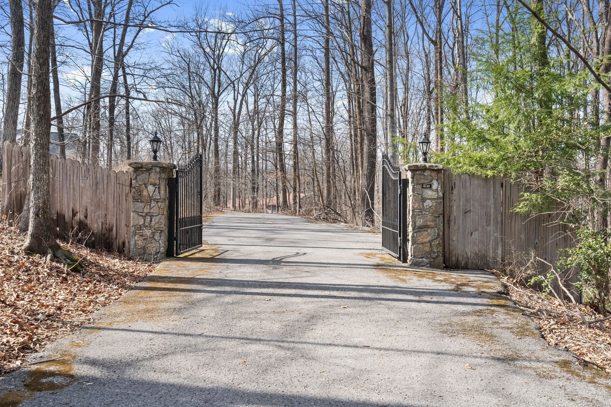 Photo of Listing #3134689