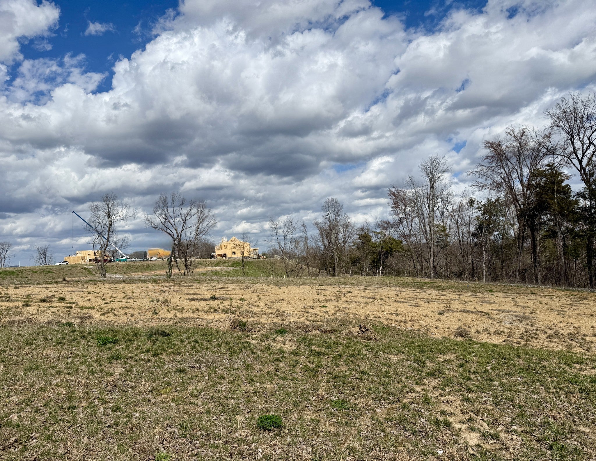 Photo of Listing #3135977