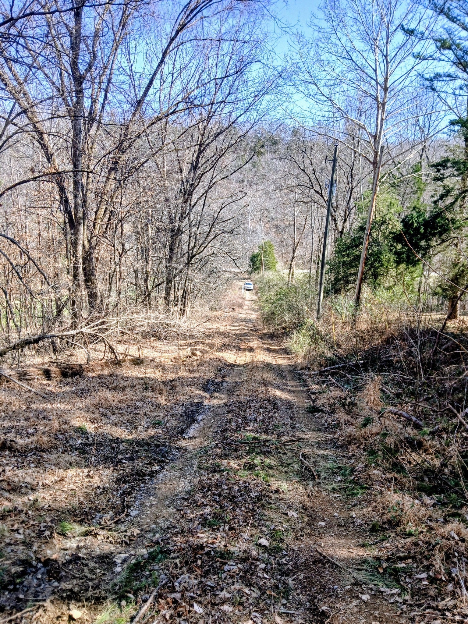 Photo of Listing #3136084