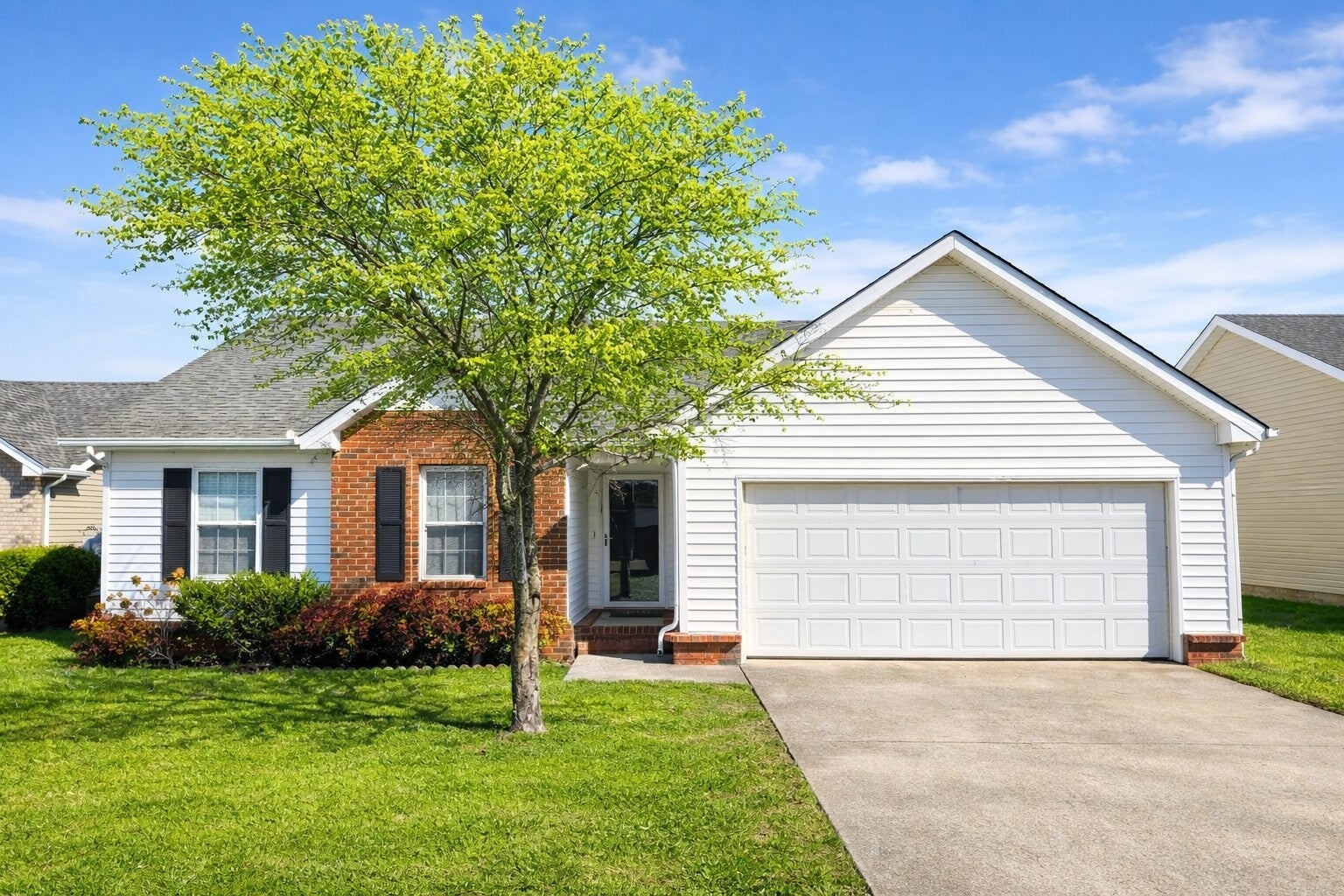 Photo of Listing #3137074