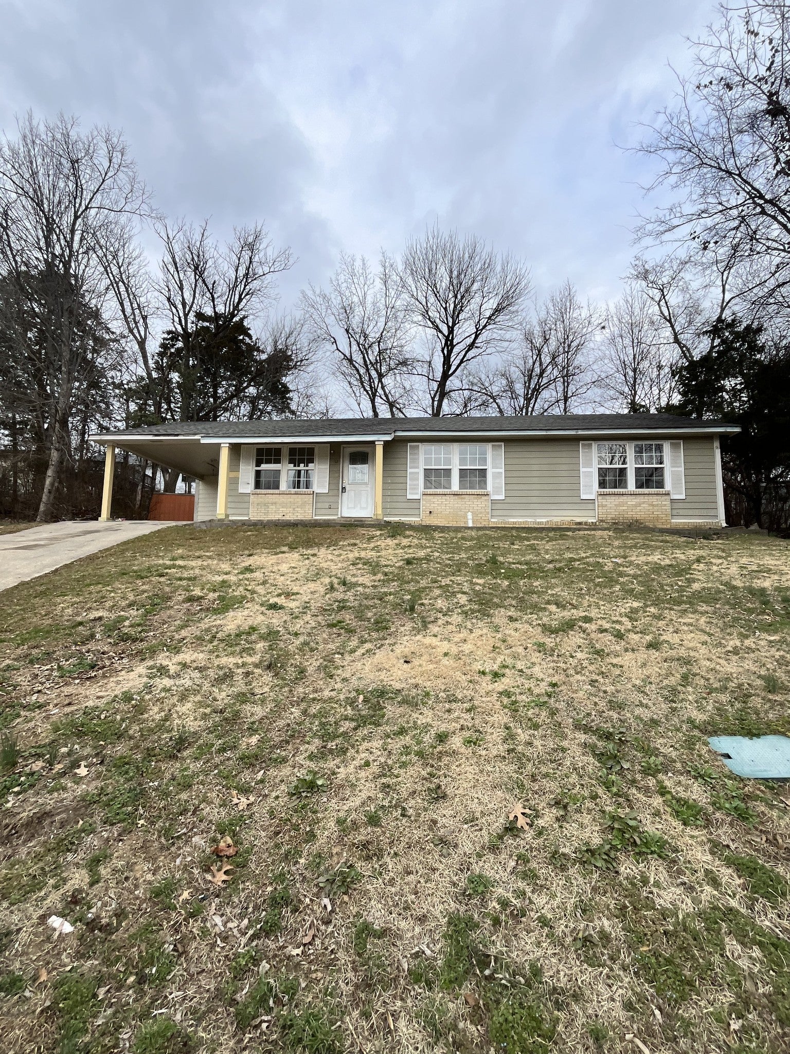 Photo of Listing #3137141