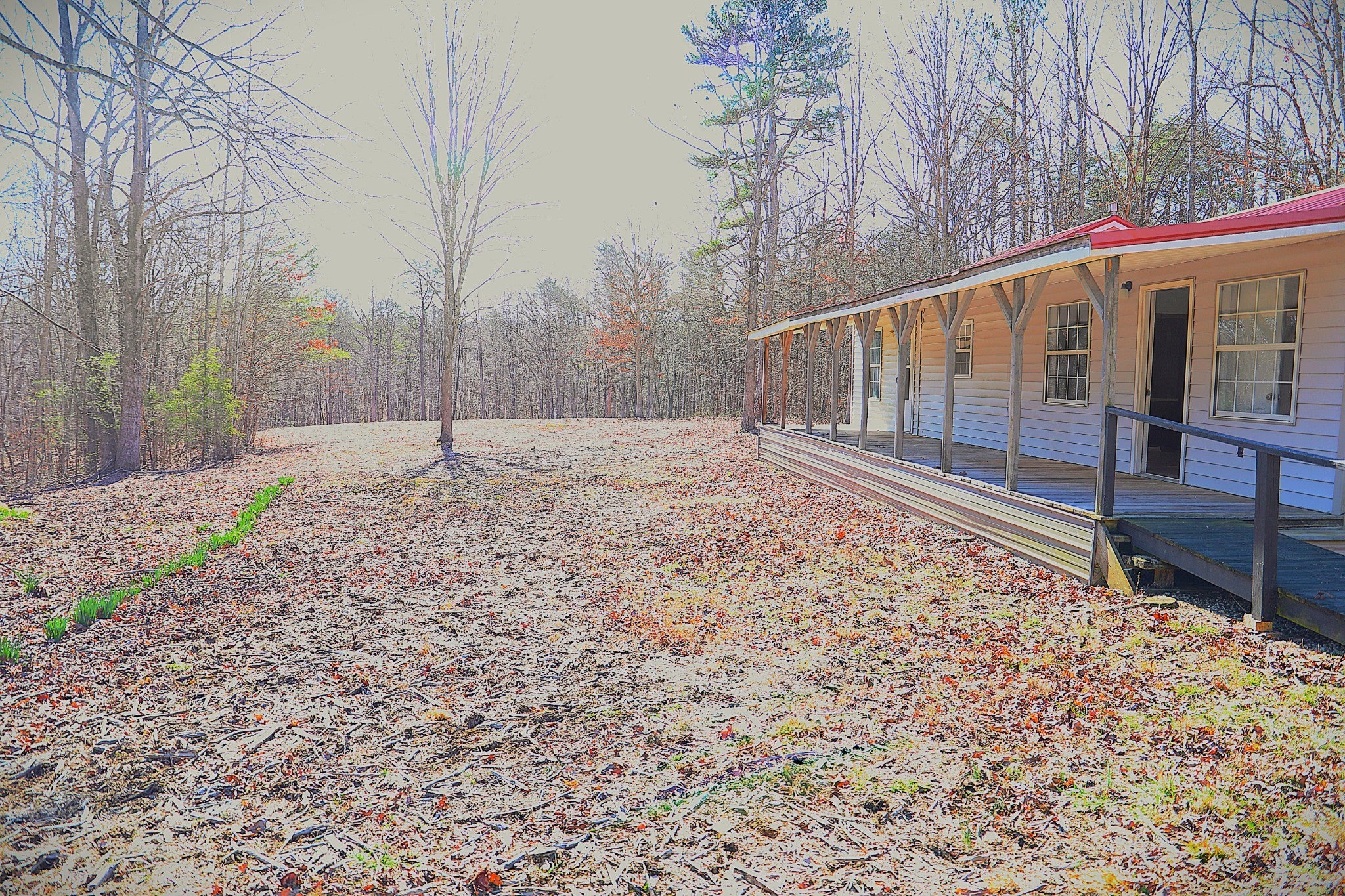 Photo of Listing #3137518