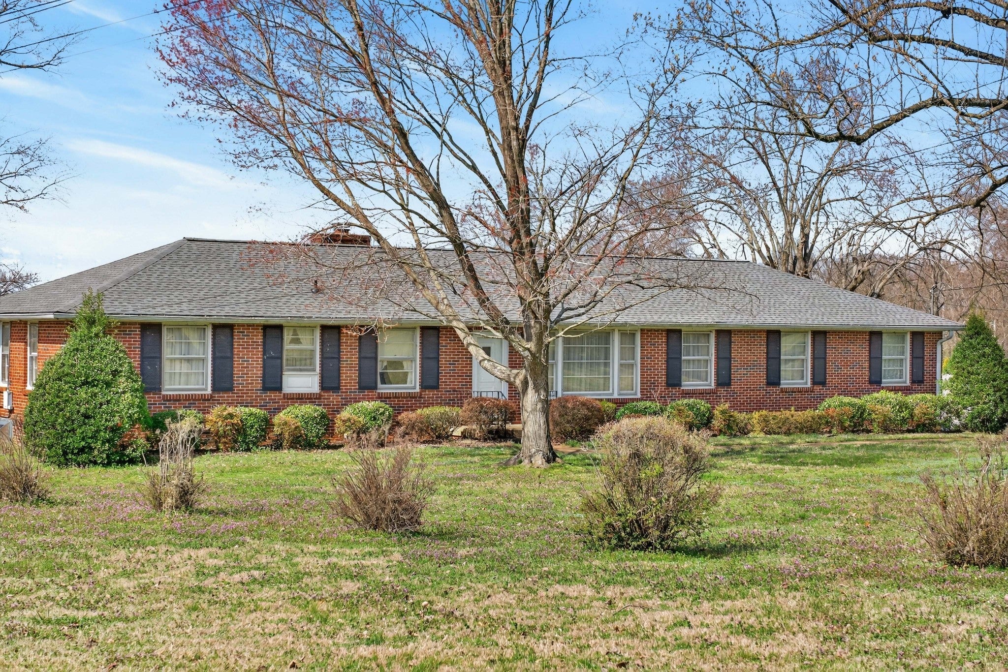 Photo of Listing #3138696