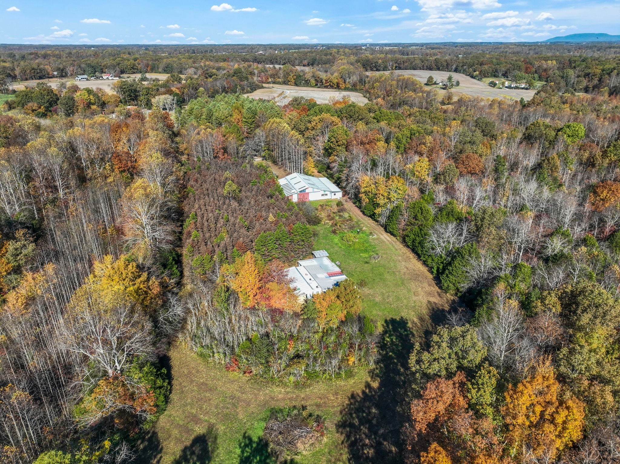 Photo of Listing #3139007