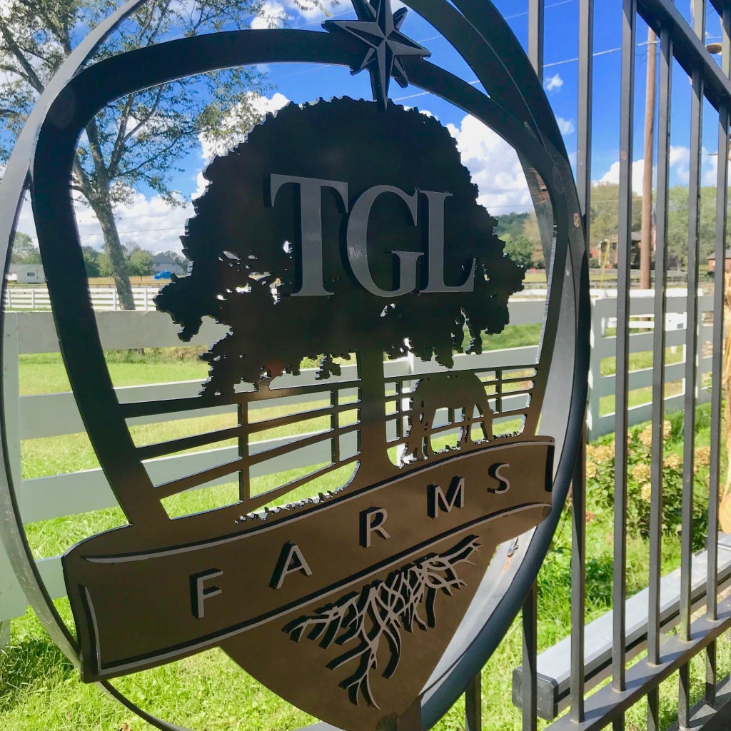 2455 Long Hollow Pike, Hendersonville