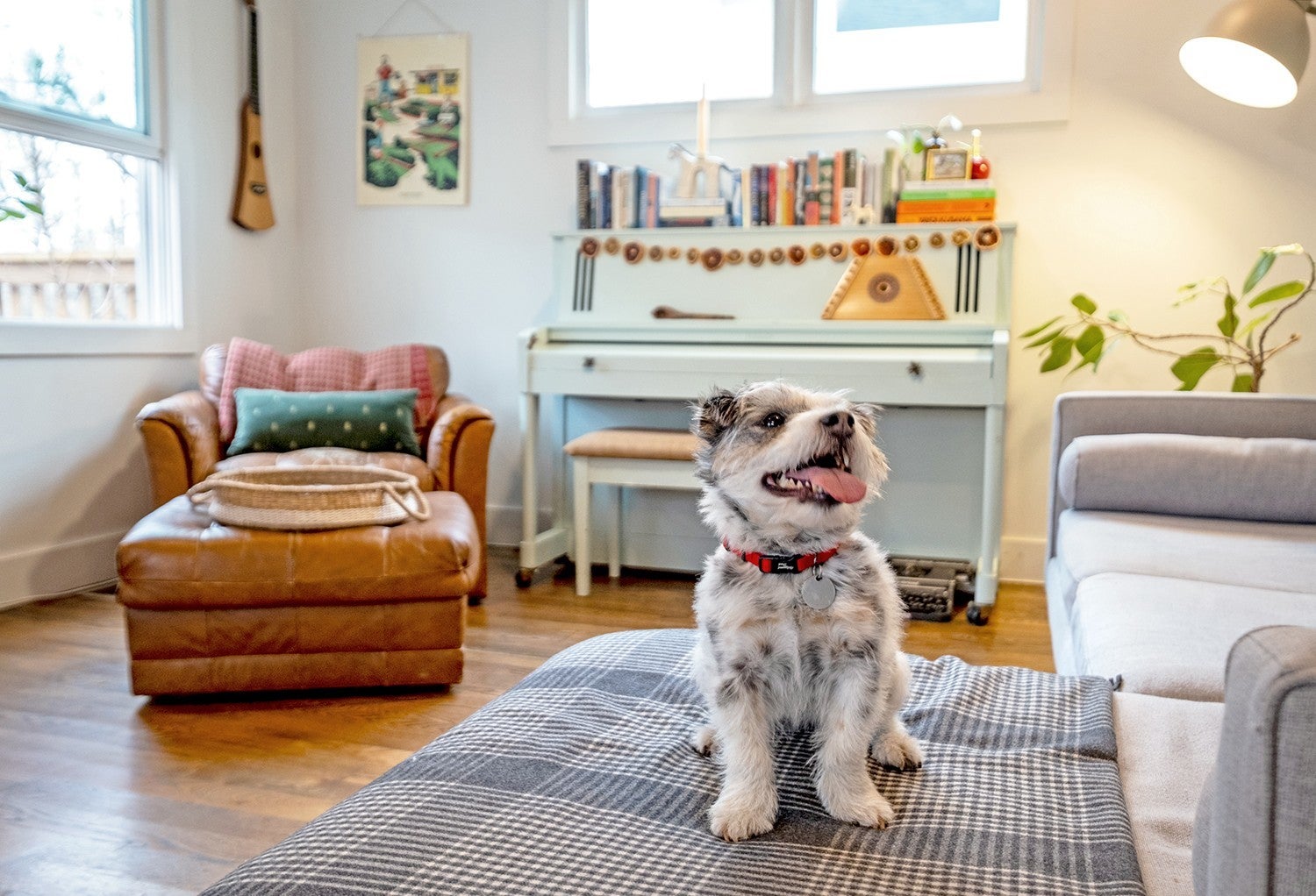 Photo of Listing #3143201