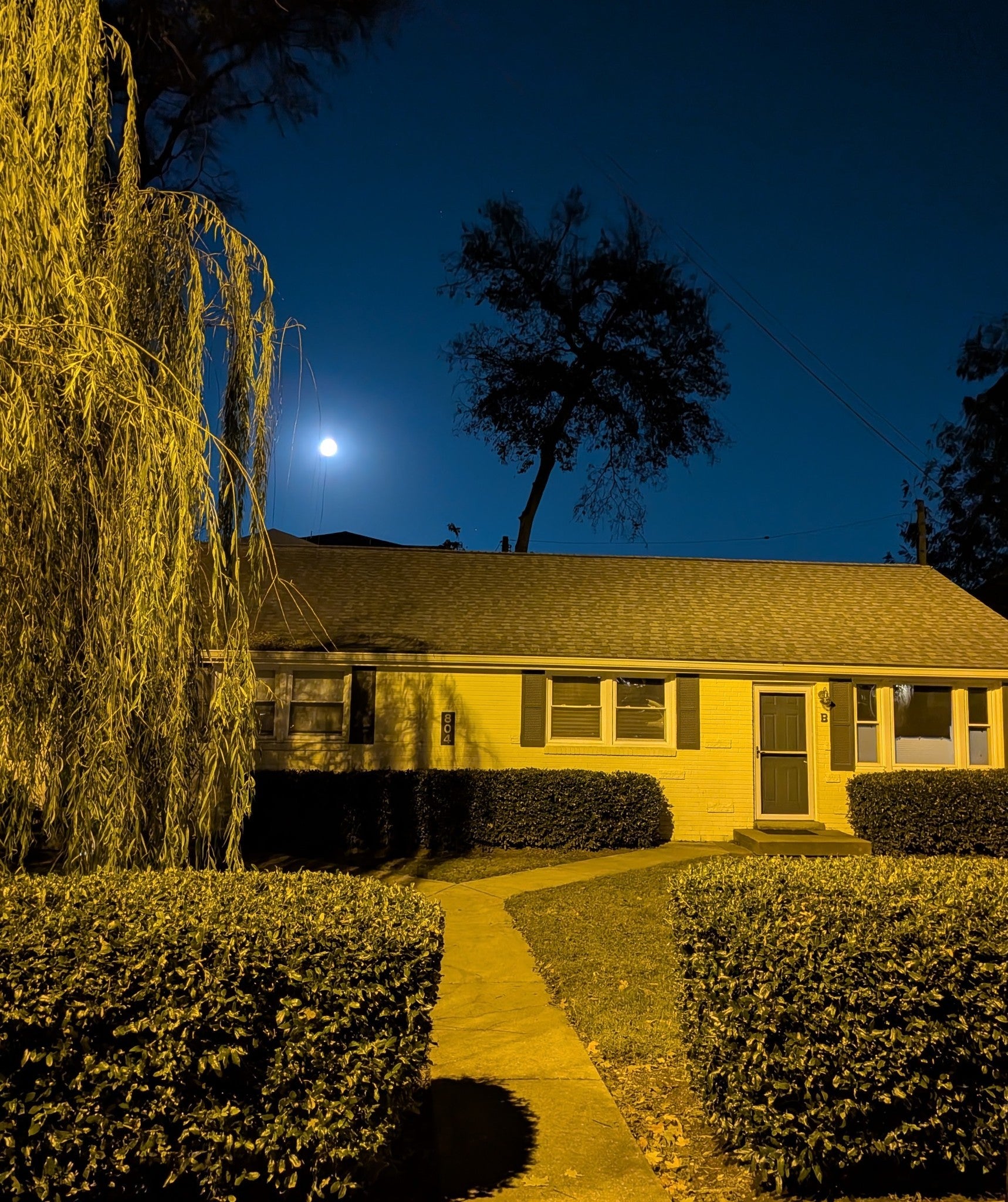 Photo of Listing #3145026