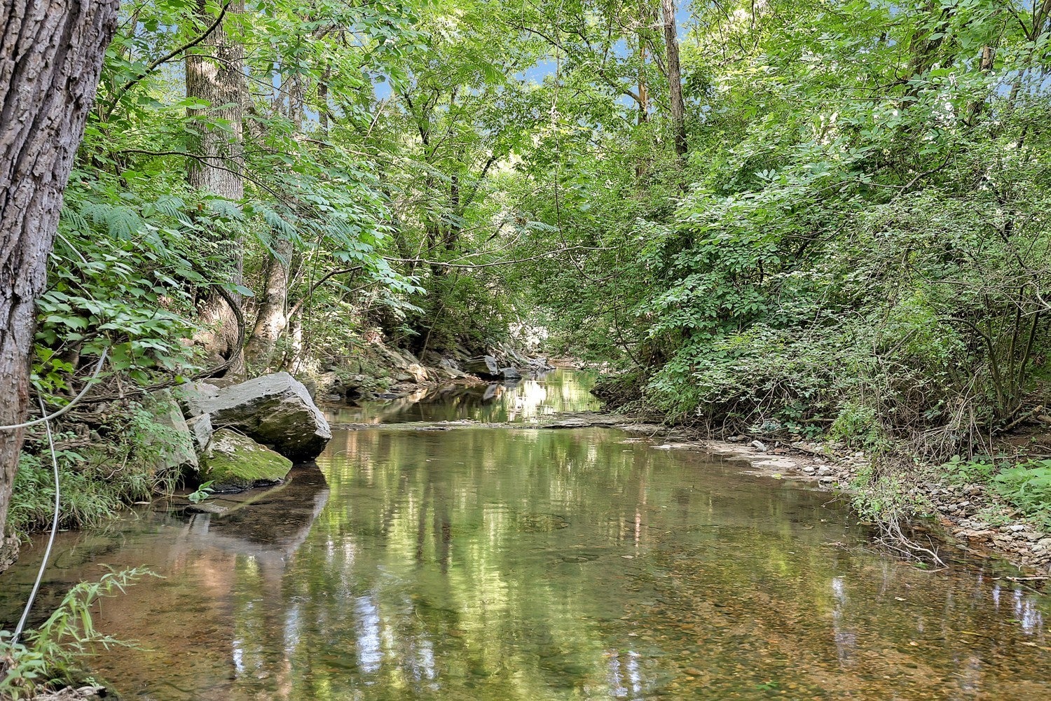 Photo of Listing #3145225