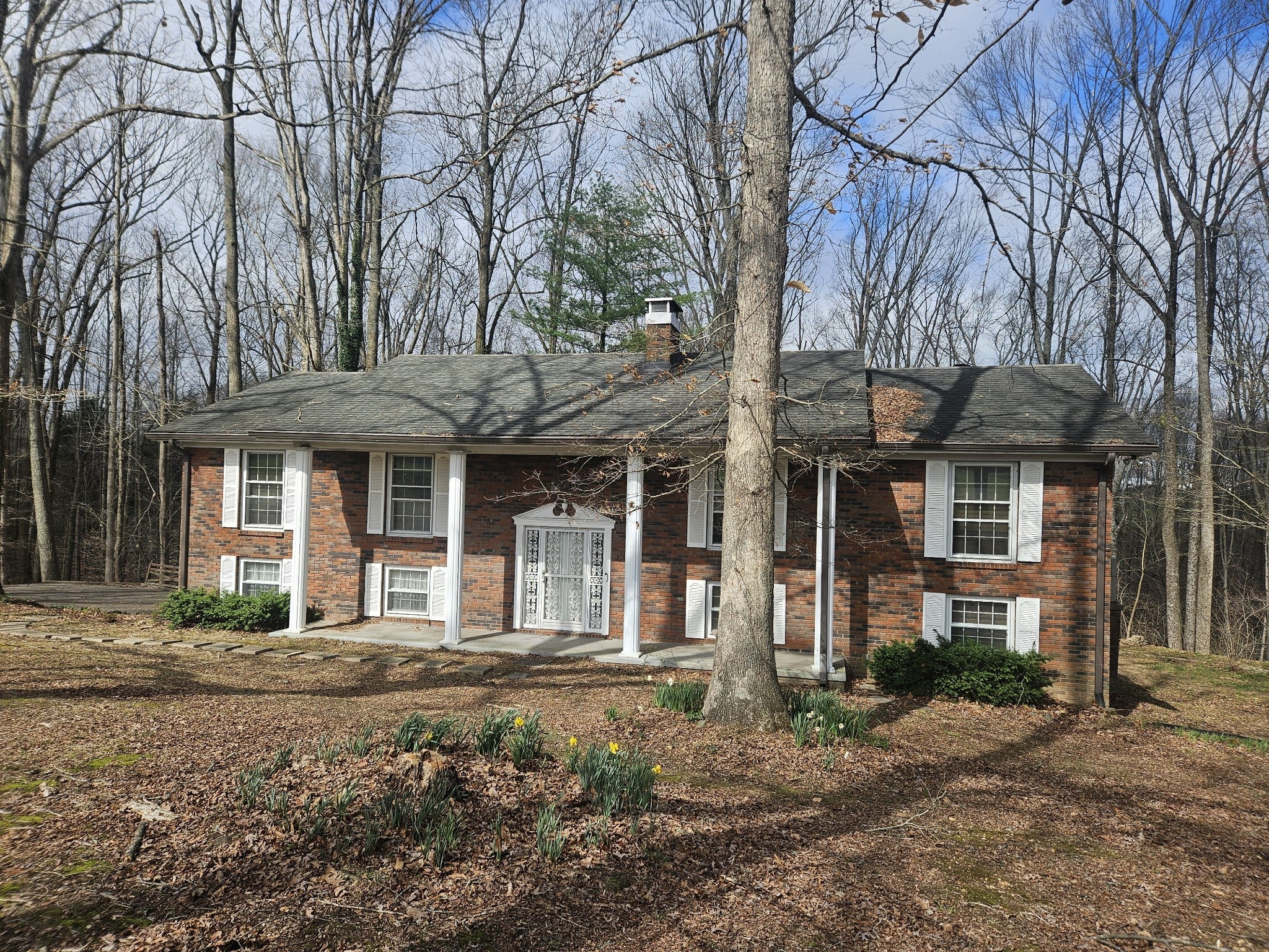 Photo of Listing #3146332