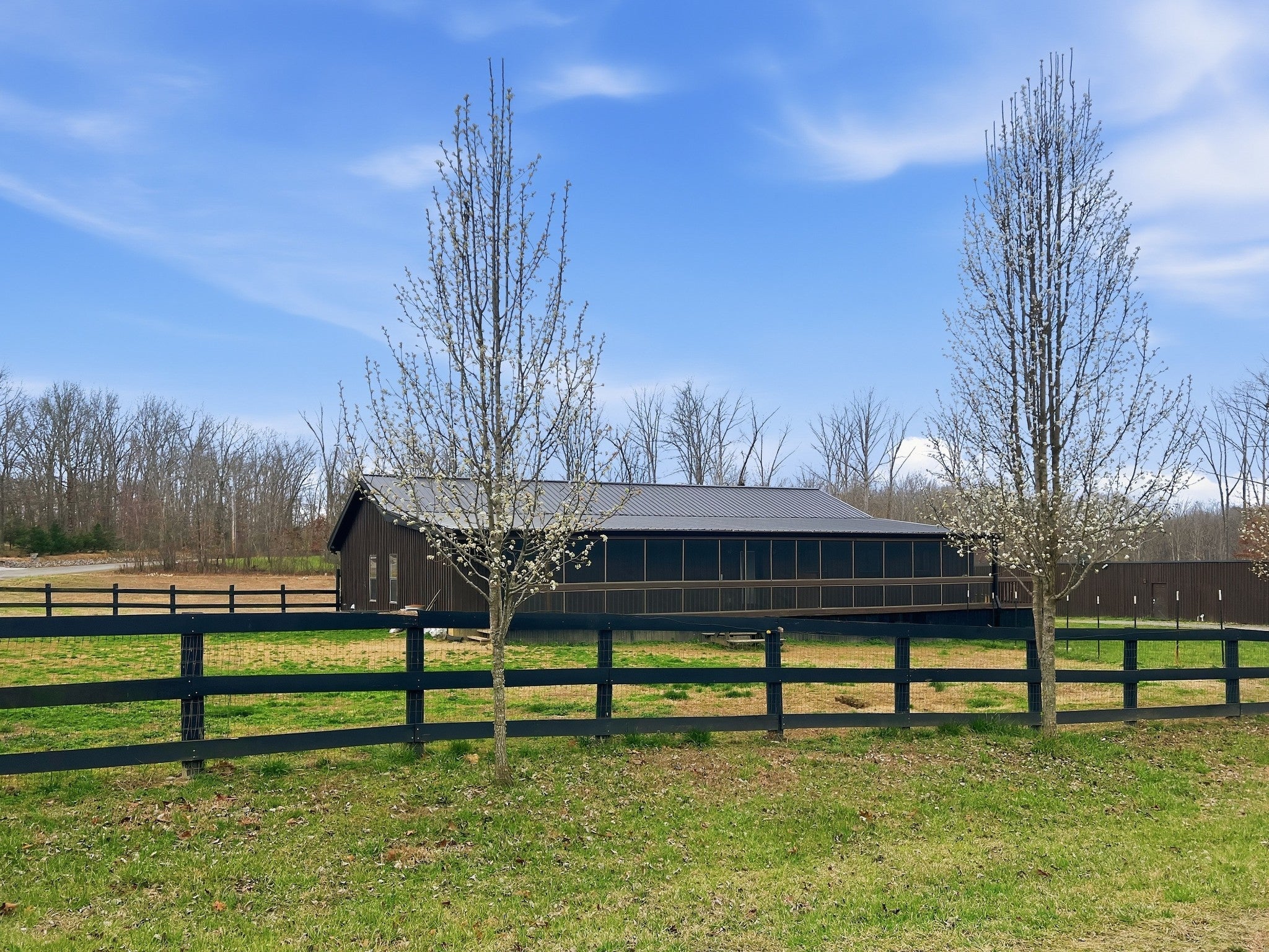 Photo of Listing #3146391