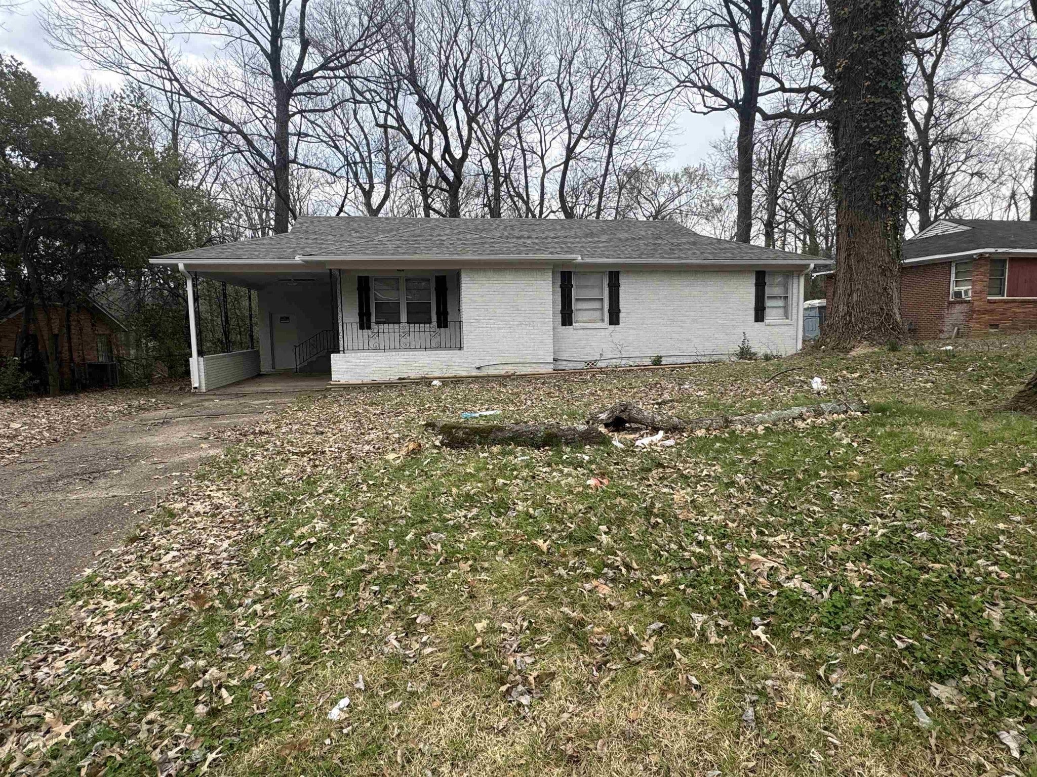 Photo of Listing #3146480