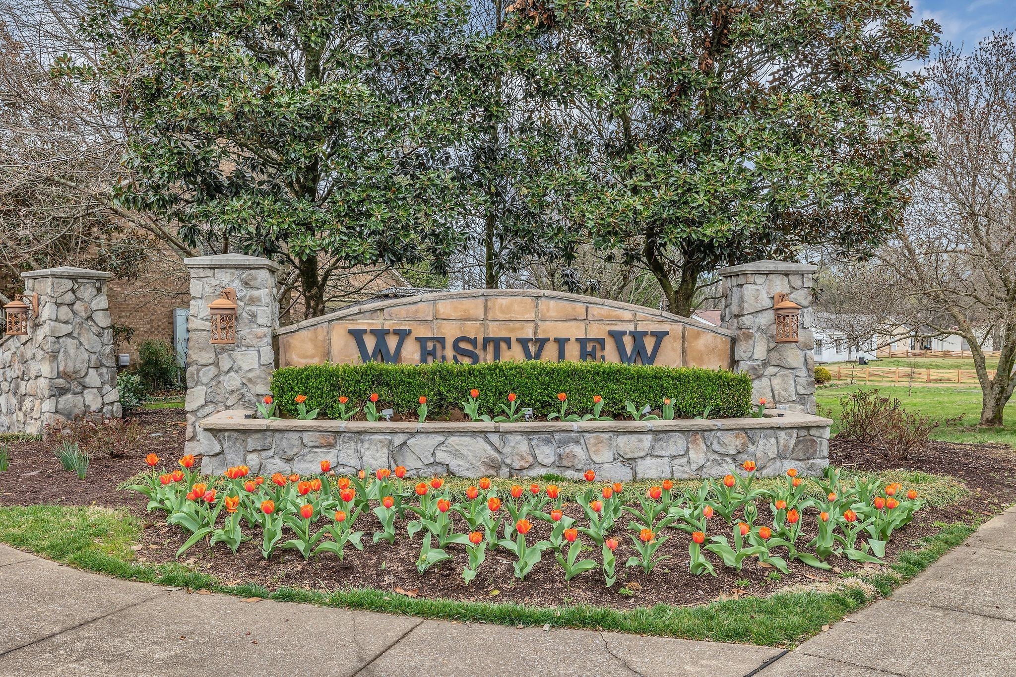 Photo of Listing #3147052