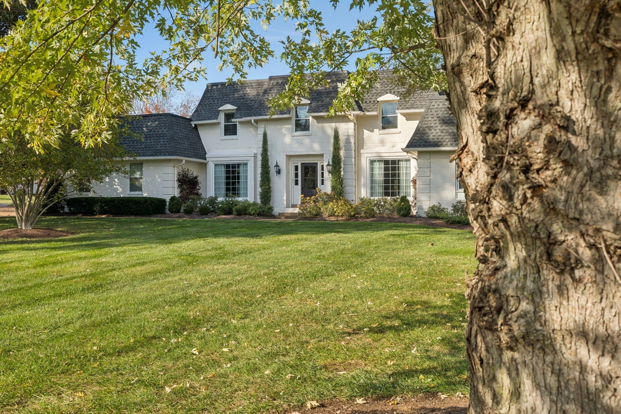 Photo of Listing #3147810