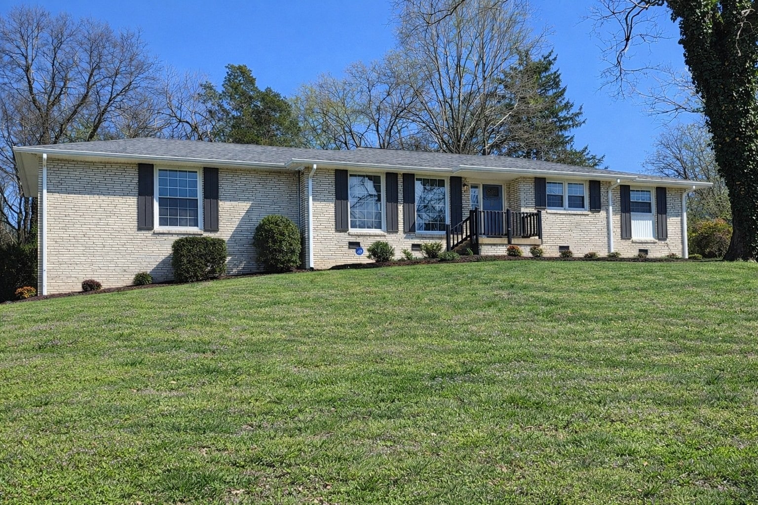 Photo of Listing #3148479