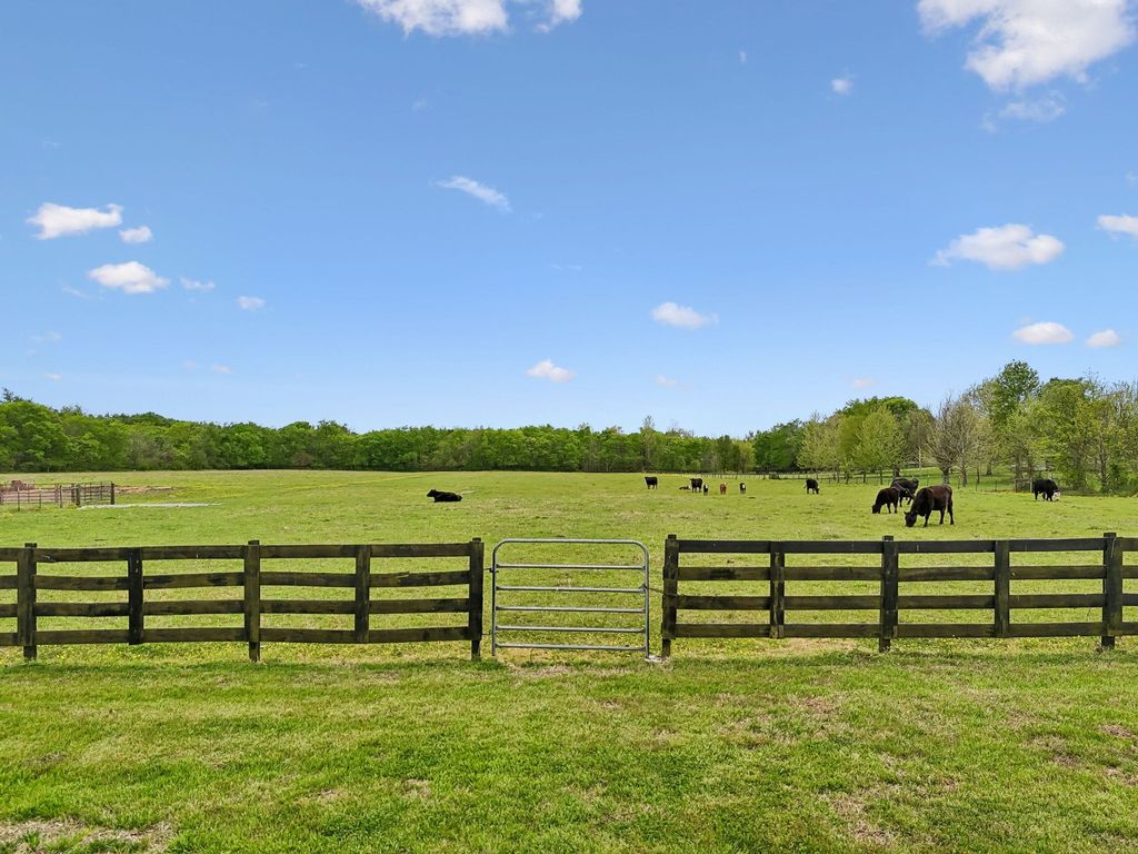 2575 Mount Vernon Rd, Chapel Hill