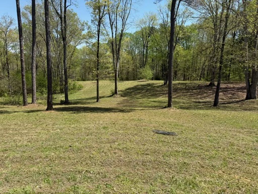 534 Whitney Branch Rd, Springville