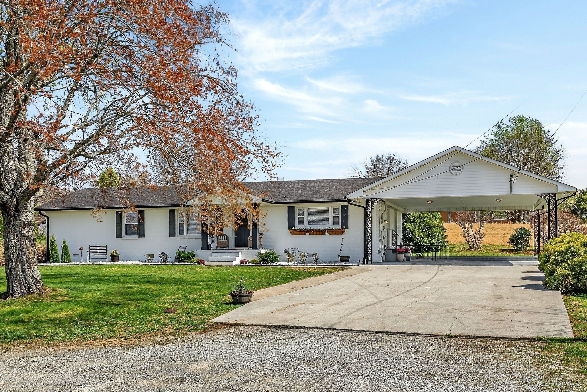 Photo of Listing #3149824