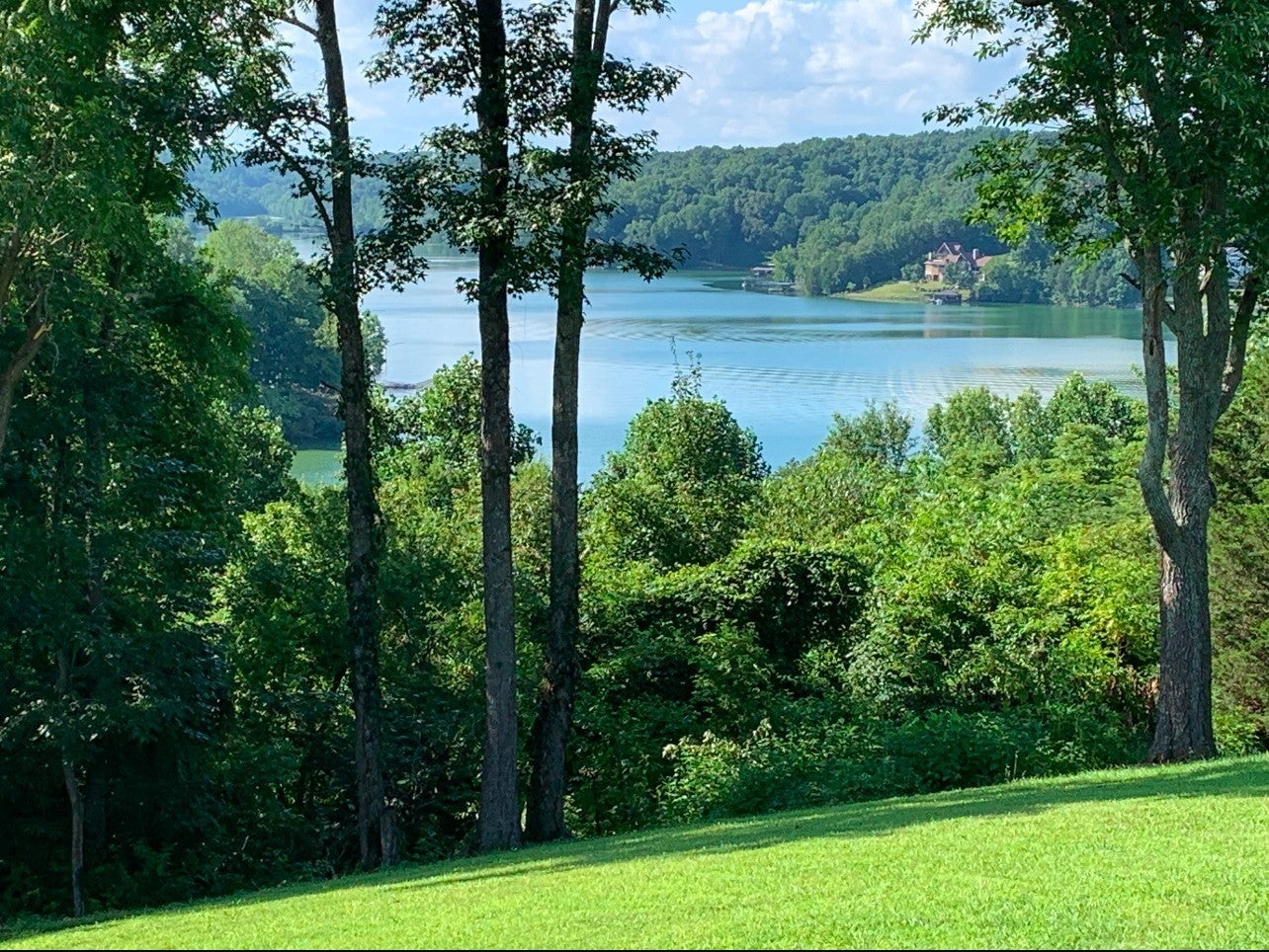 Photo of Listing #3152463