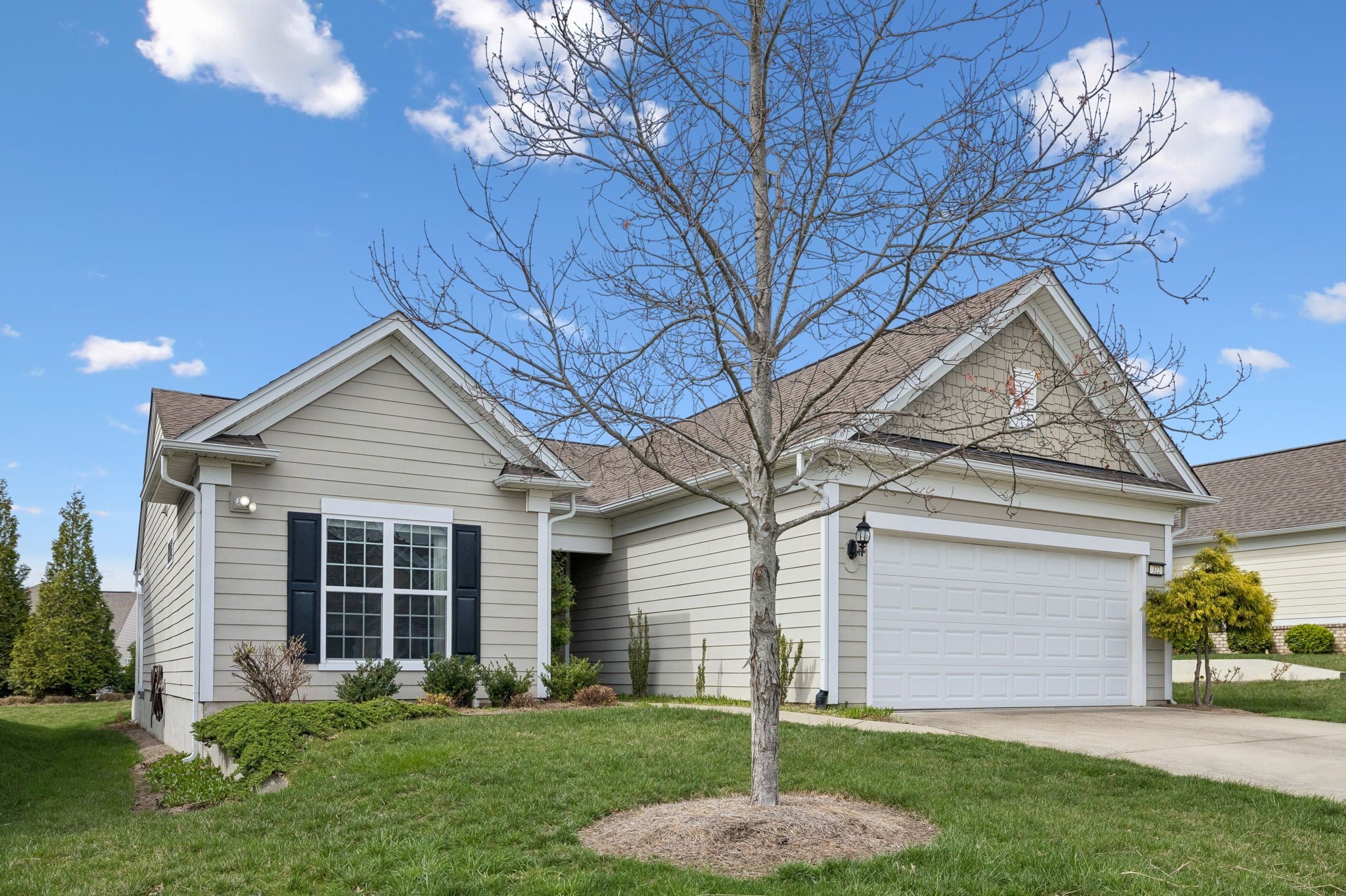 Photo of Listing #3152828