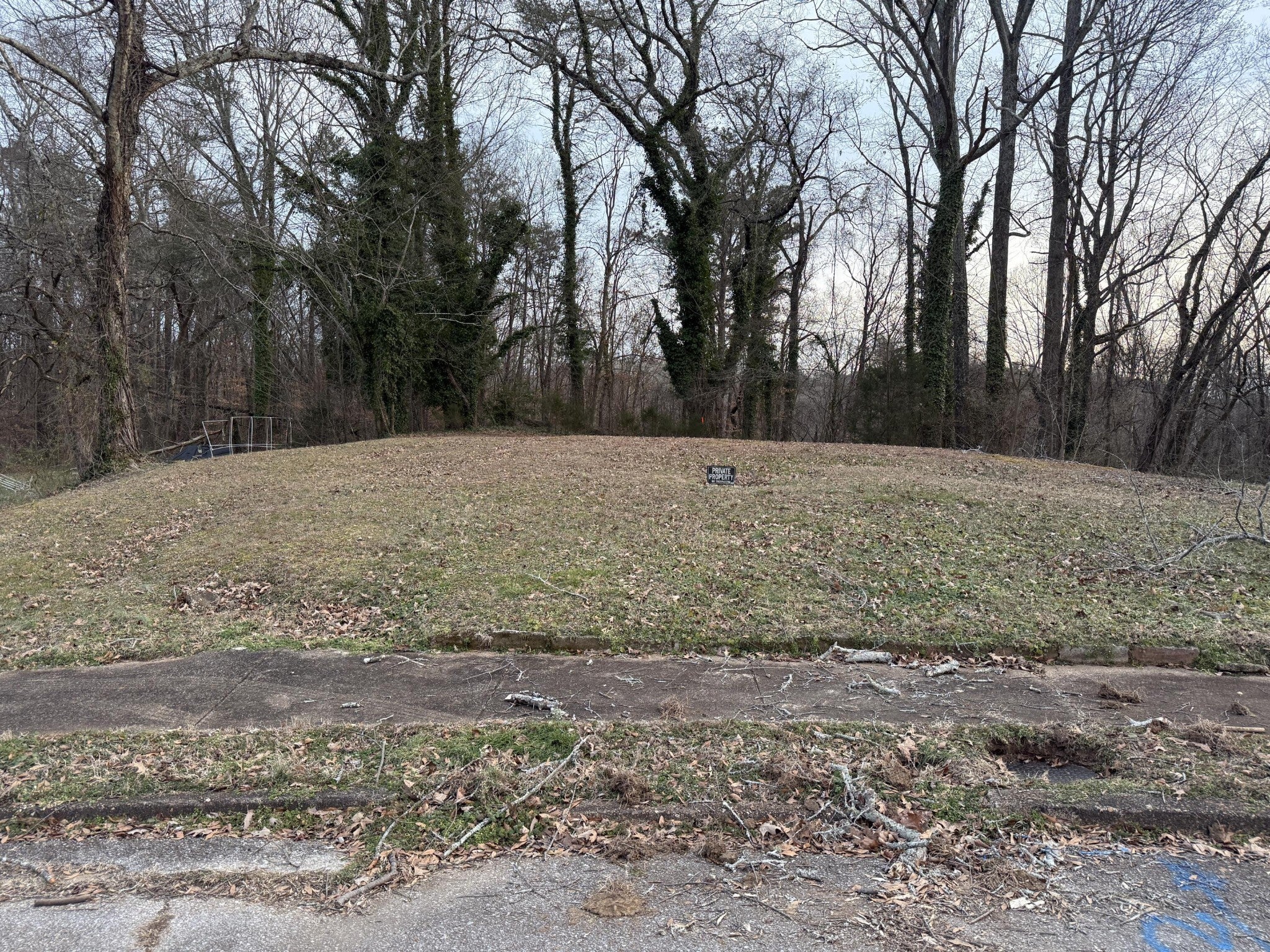 Photo of Listing #3152930