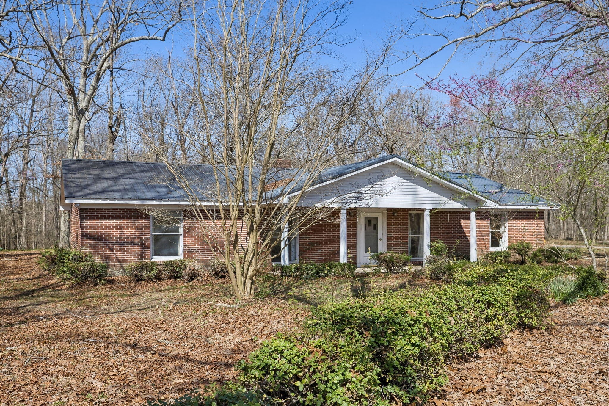 Photo of Listing #3153109