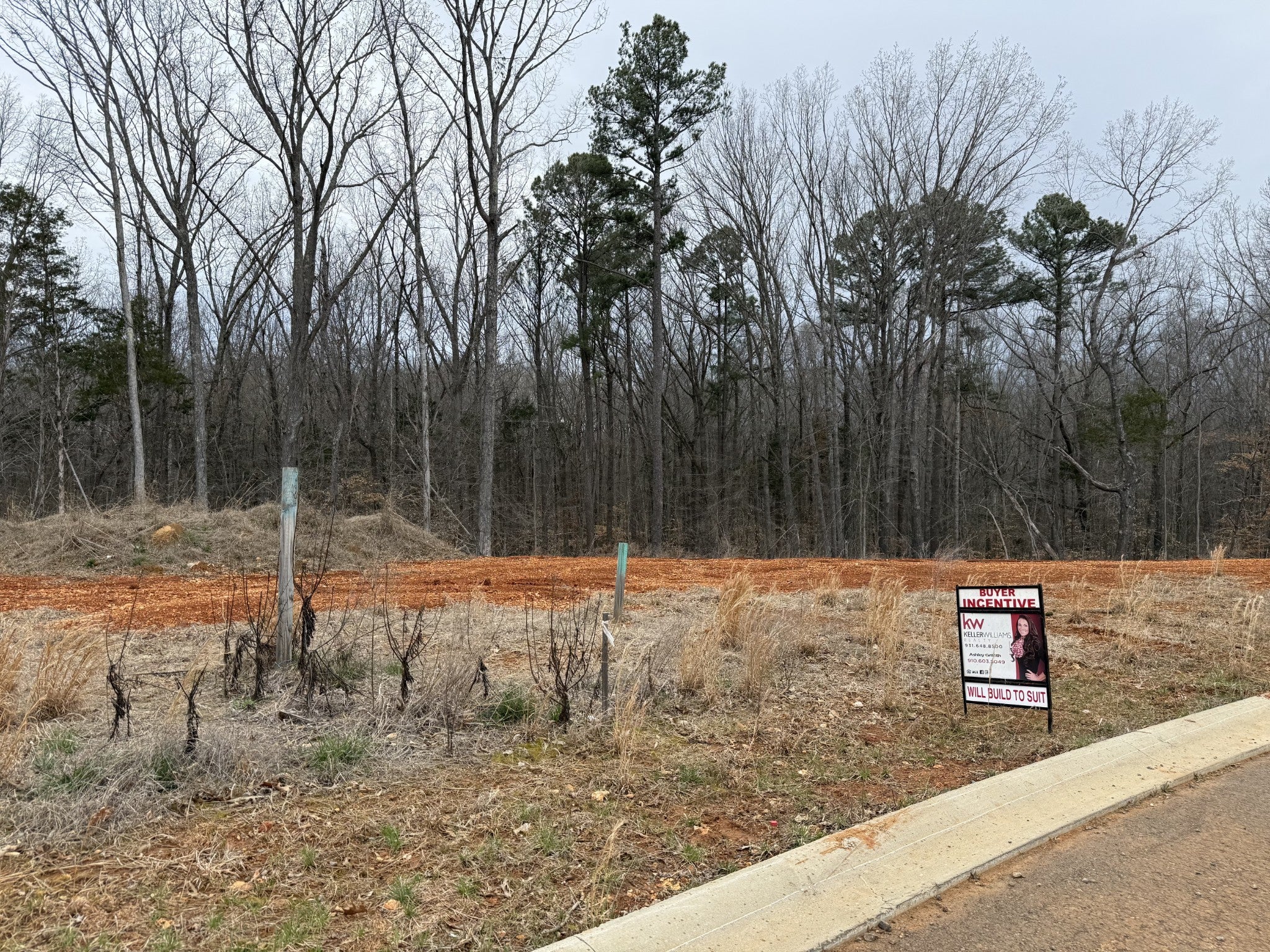 Photo of Listing #3153152