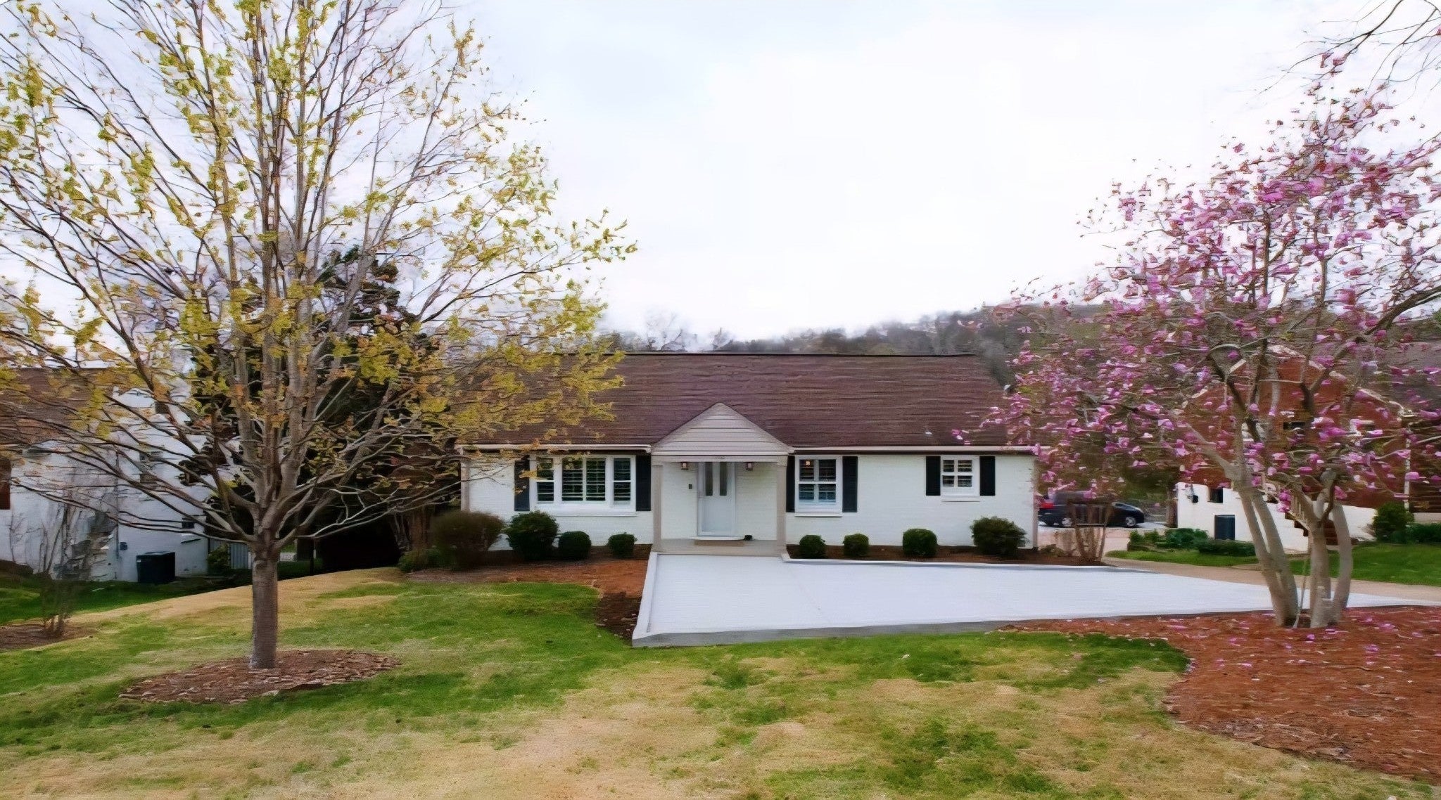 Photo of Listing #3154896