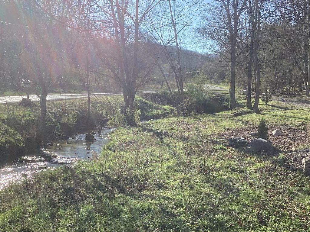334 Richardson Hollow Ln, Gainesboro