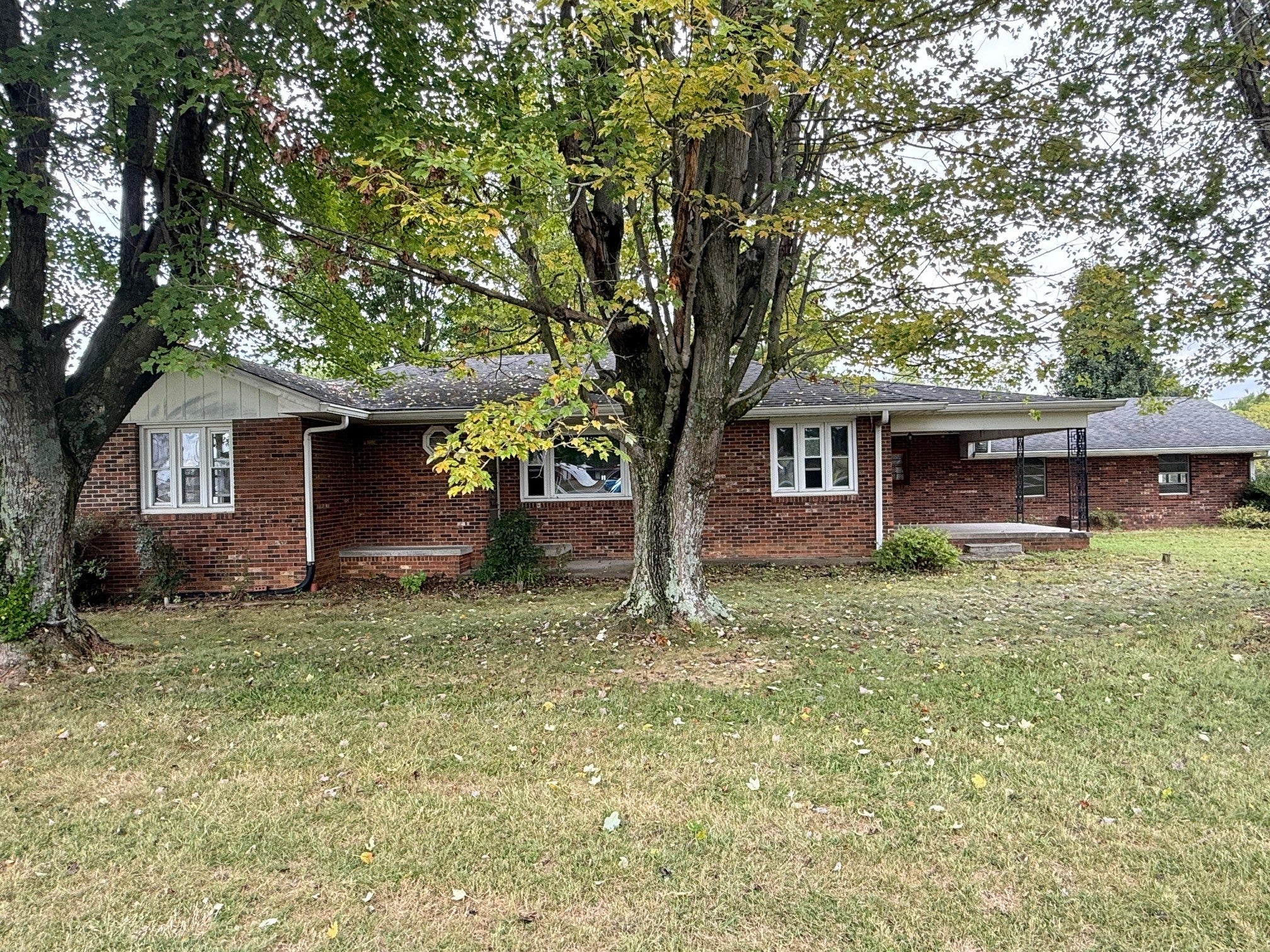 Photo of Listing #3158411