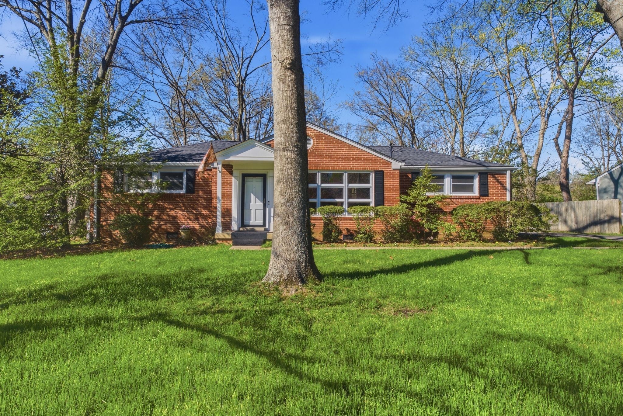 Photo of Listing #3158603