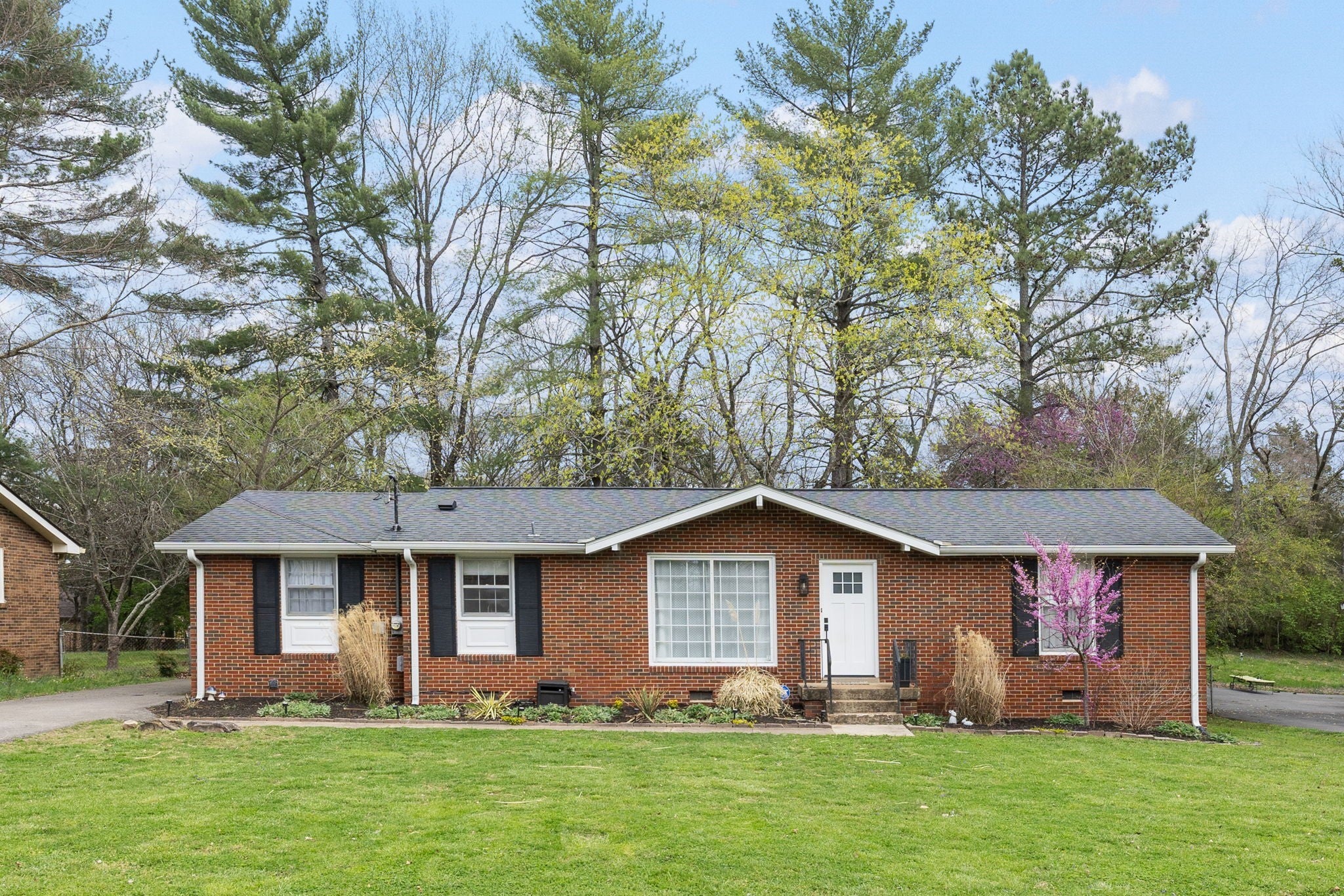 Photo of Listing #3159439