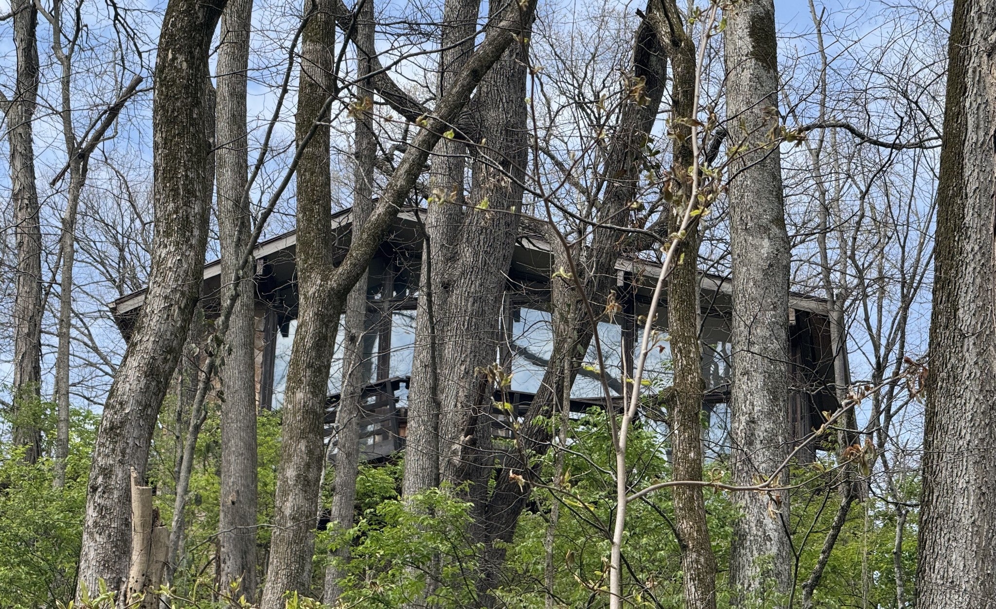 Photo of Listing #3159791