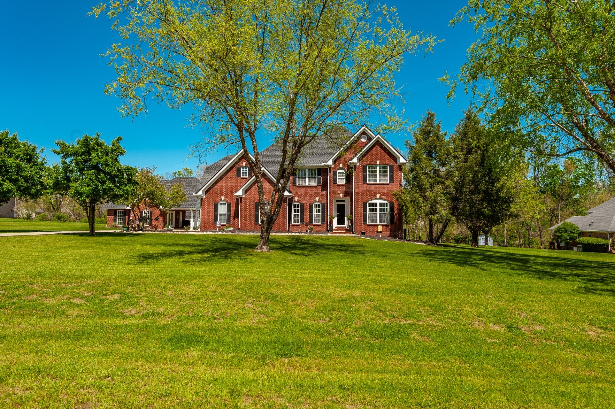 Photo of Listing #3163629