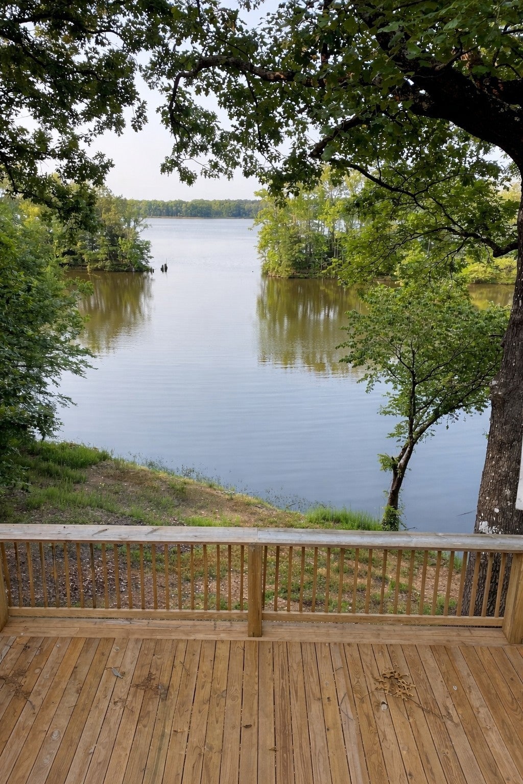 Photo of Listing #3165436