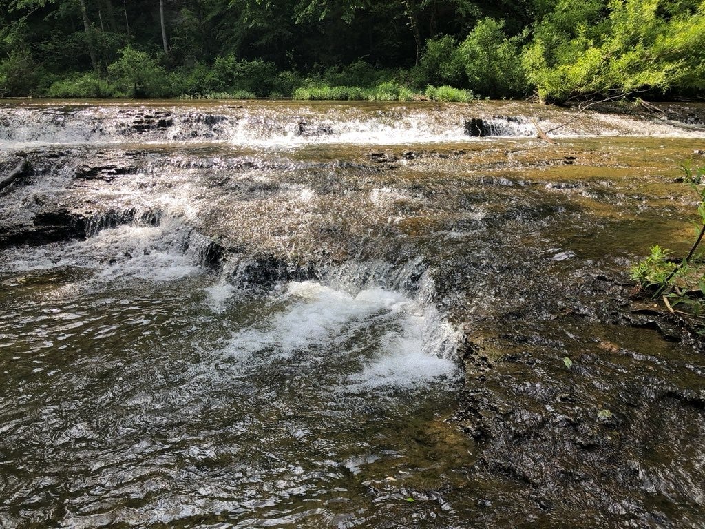 Photo of Listing #3166173