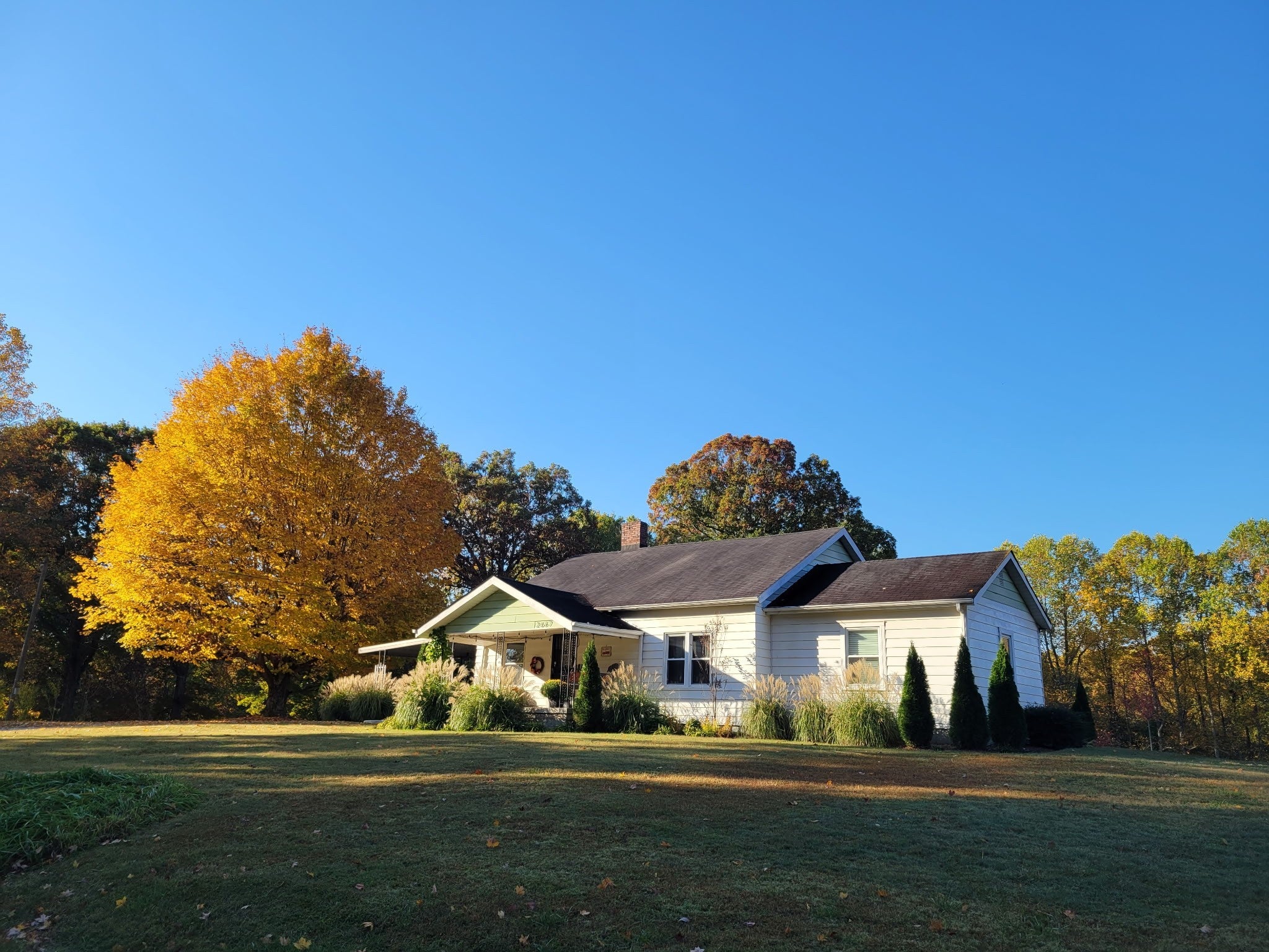 Photo of Listing #3167013