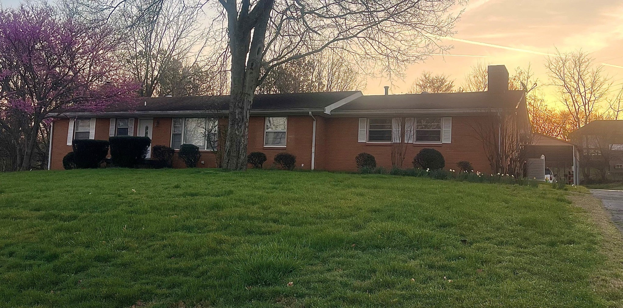 Photo of Listing #3170068