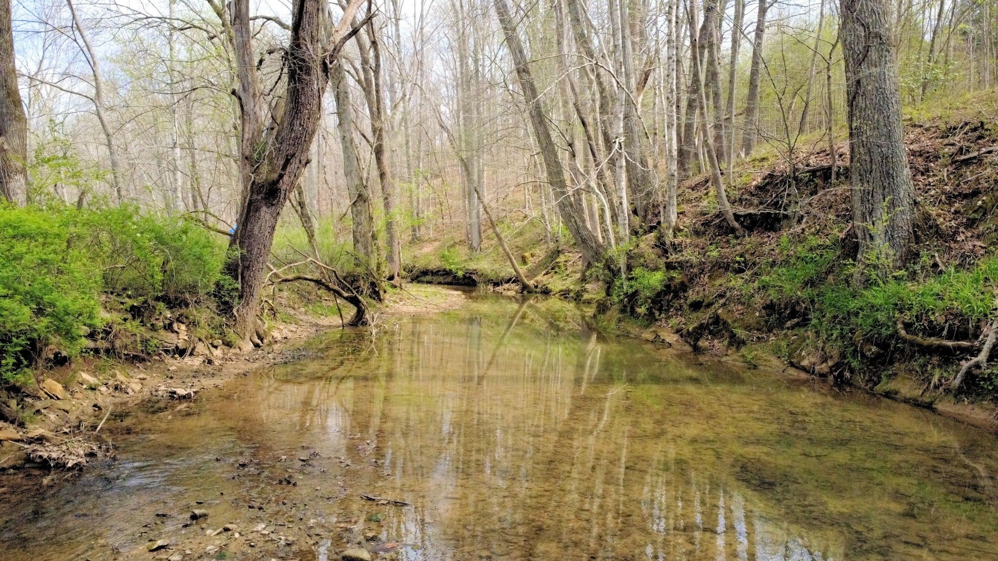 Photo of Listing #3170862