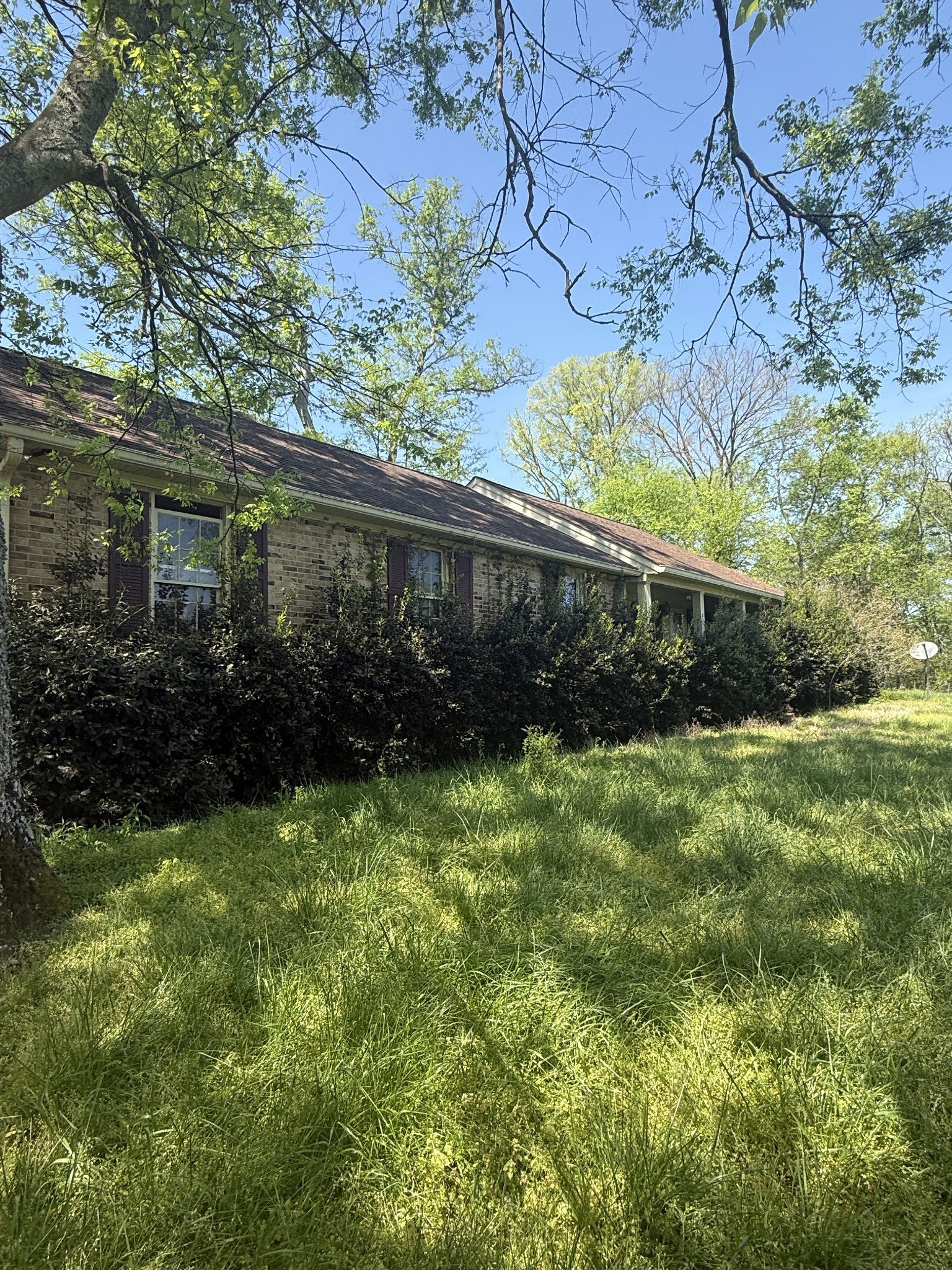 Photo of Listing #3171511