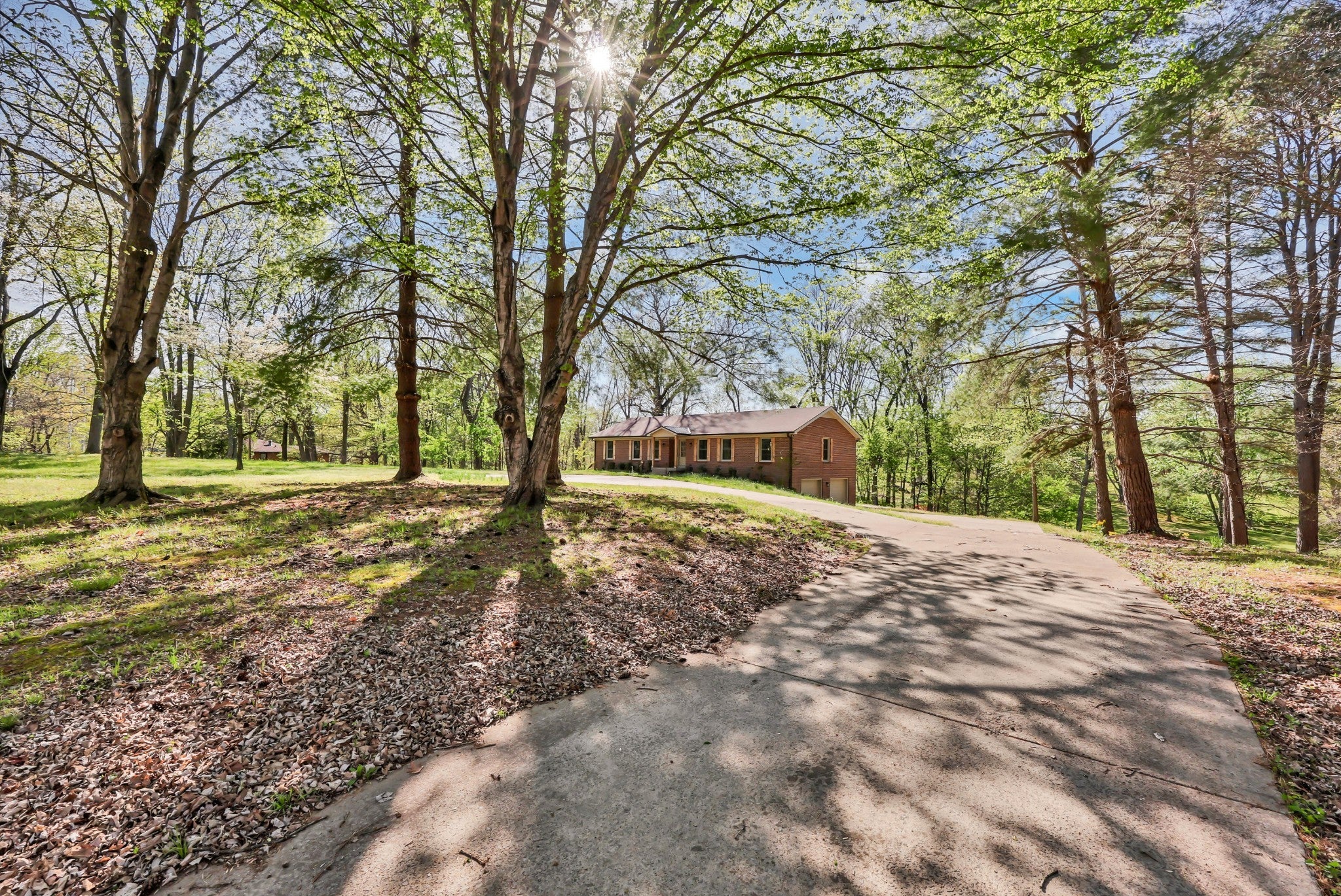 Photo of Listing #3176233