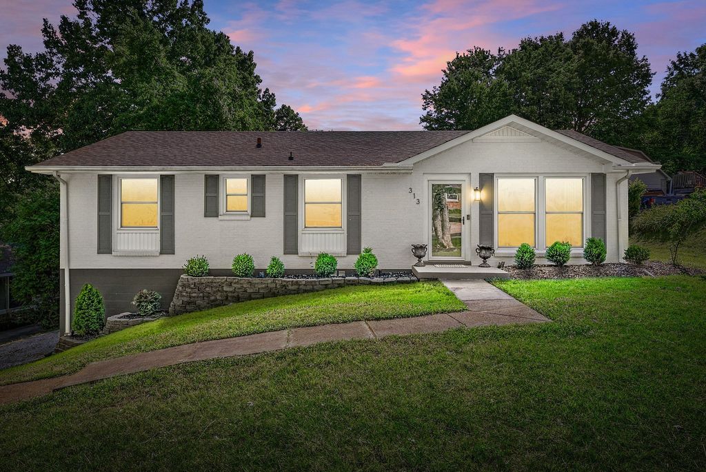 313 Hilldale Ln, Clarksville