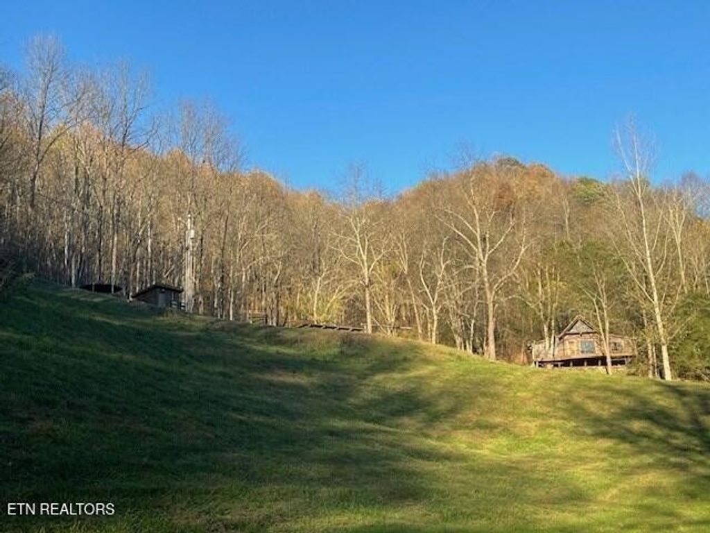 360 Spurlock Hollow Lane, Gainesboro