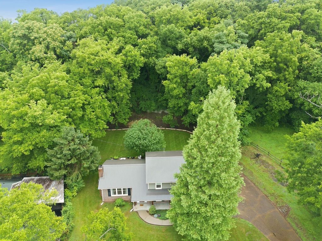 104 Fairview Drive, Mount Pleasant